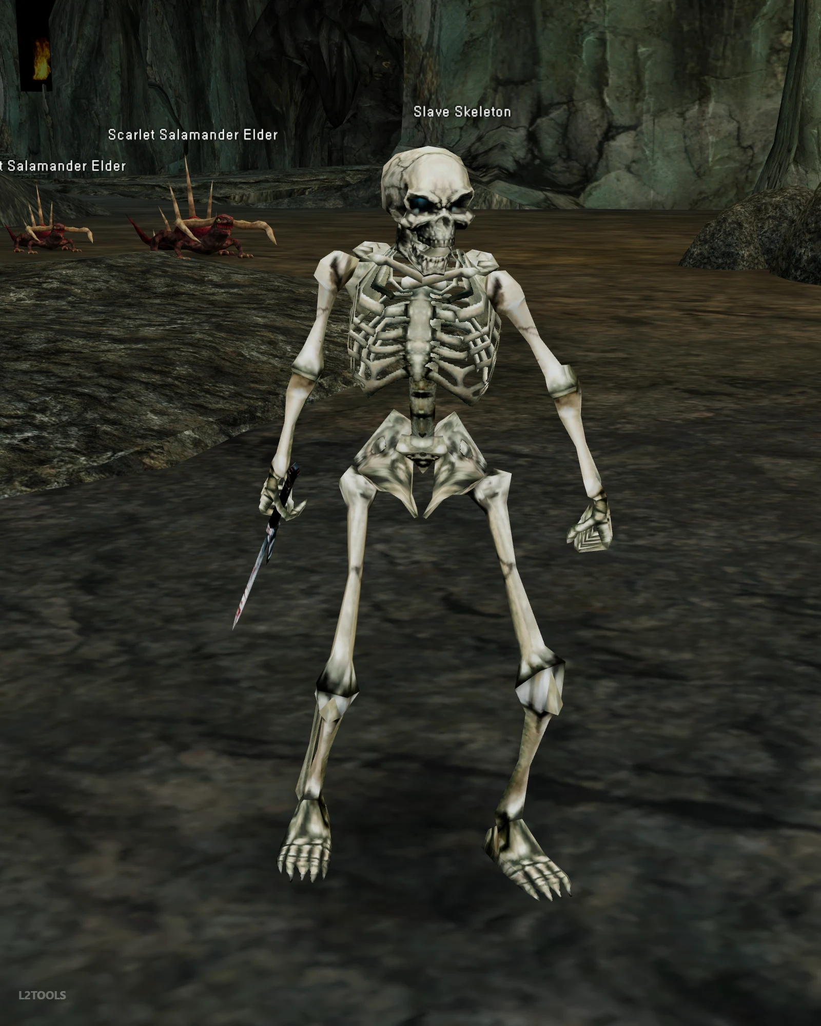 Slave Skeleton portrait