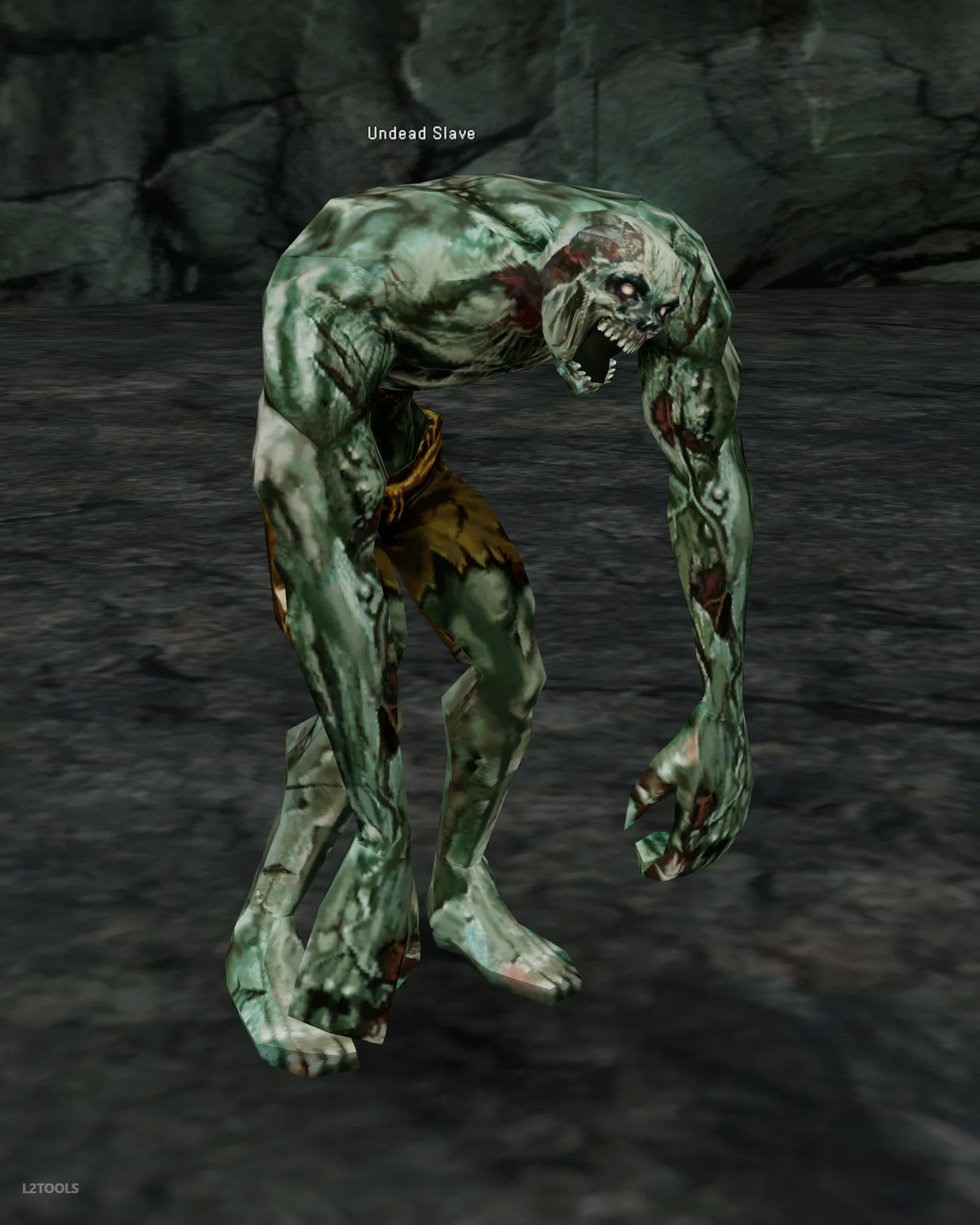 Undead Slave portrait