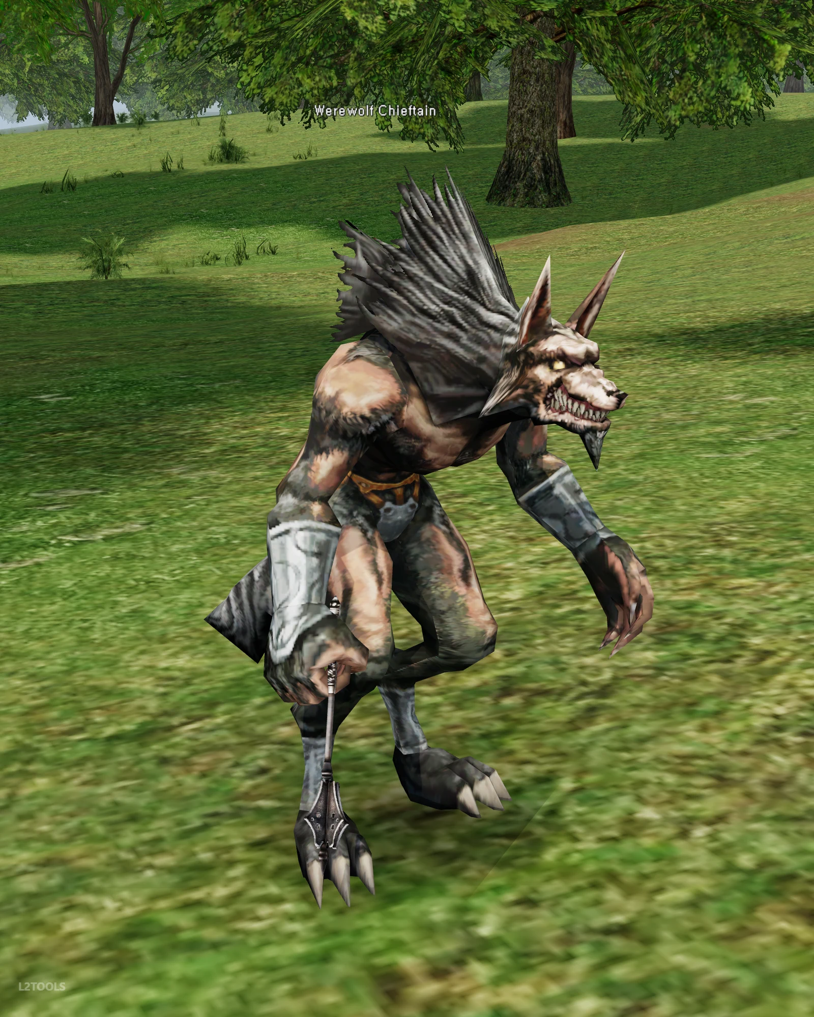 Werewolf Chieftain portrait