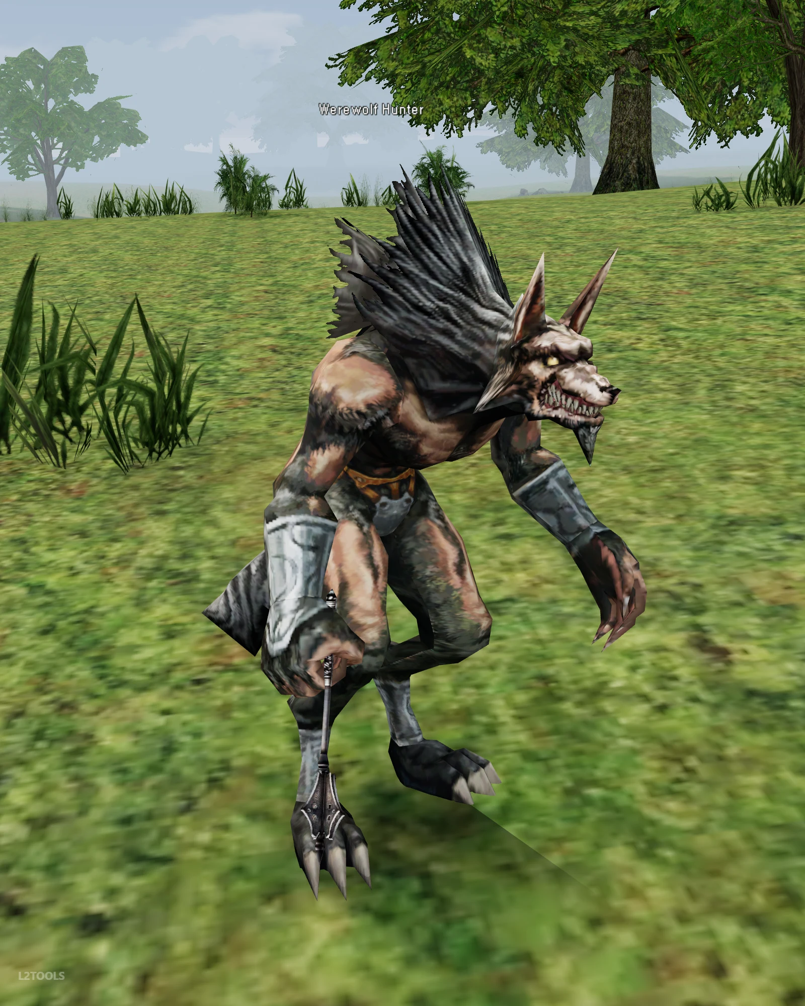 Werewolf Hunter portrait