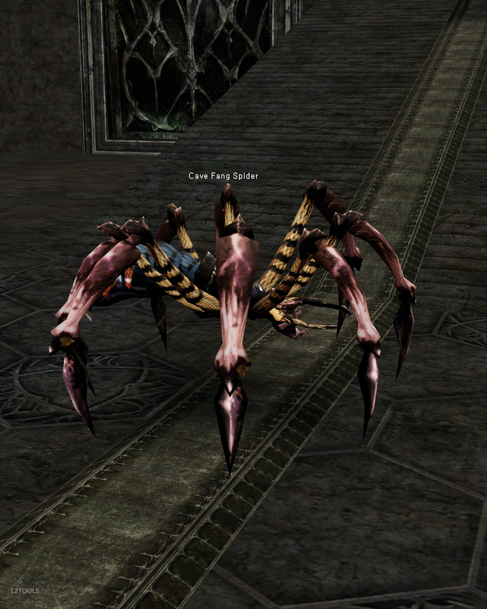 Cave Fang Spider portrait