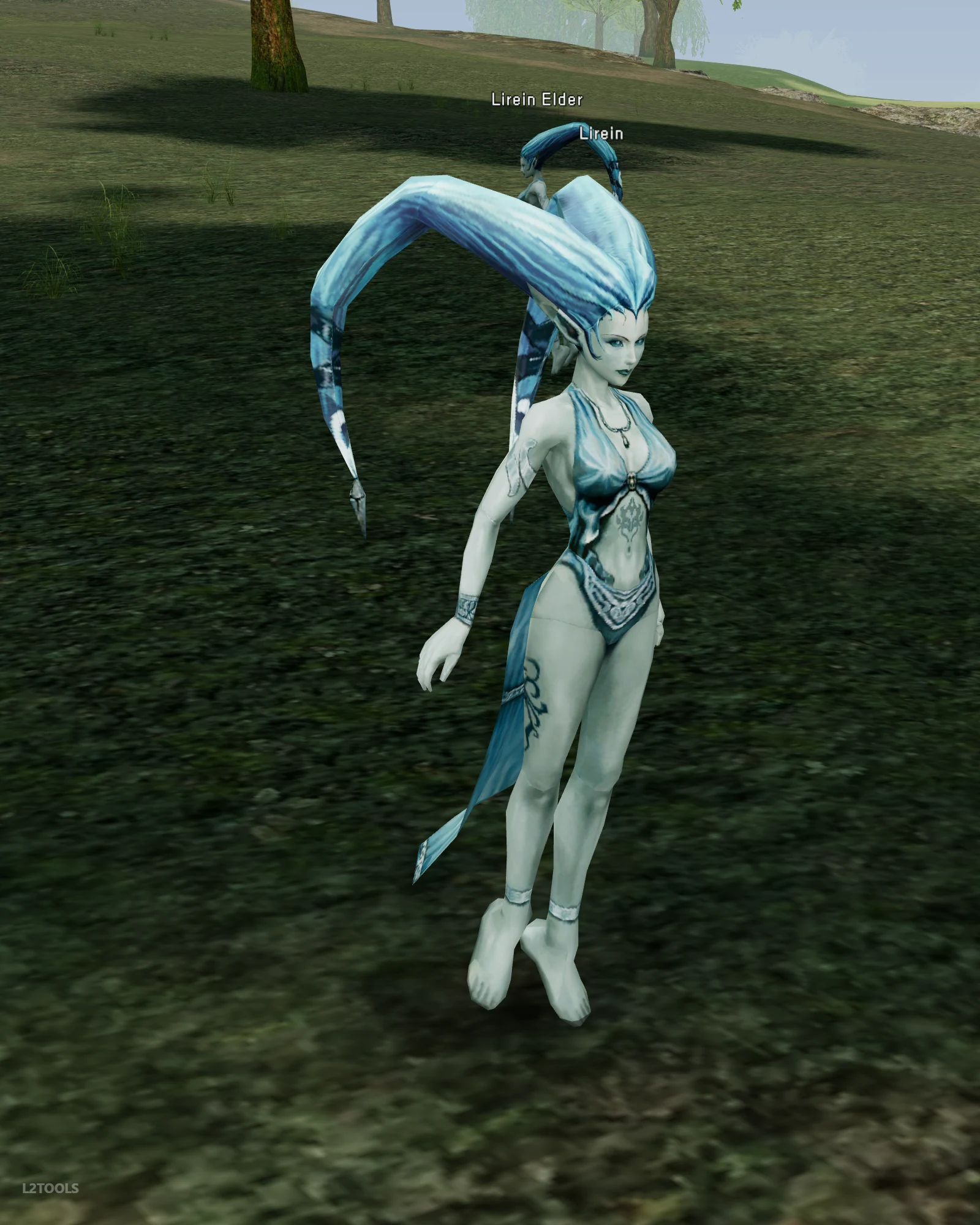 Lirein portrait