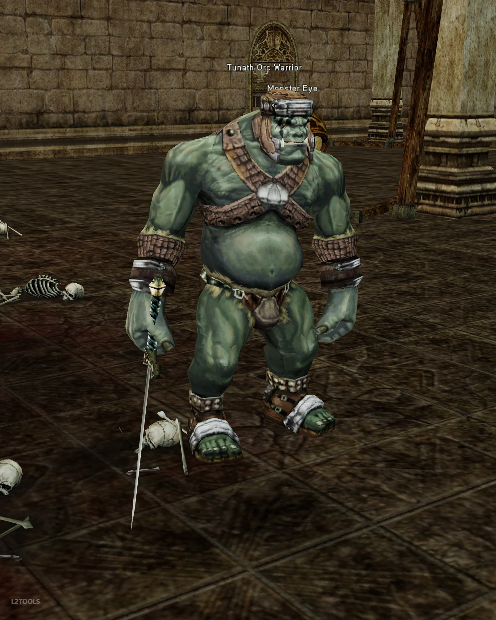 Tunath Orc Warrior portrait