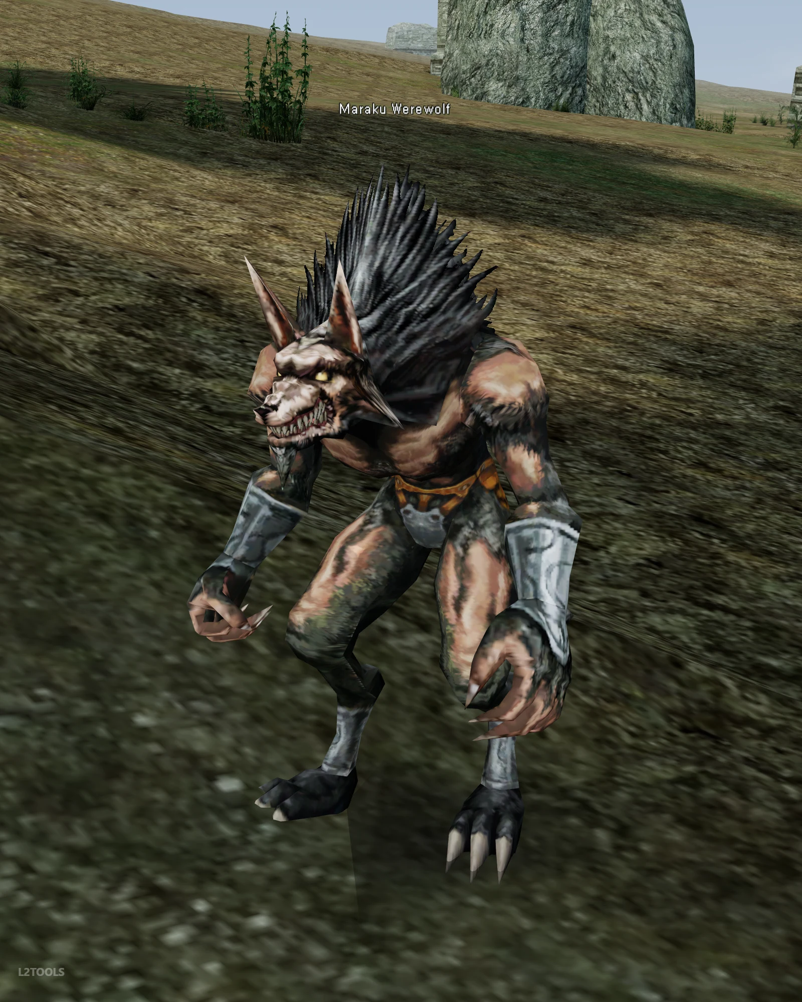 Maraku Werewolf portrait