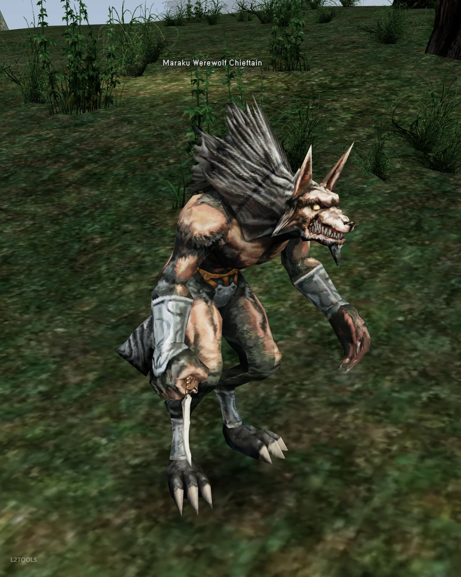 Maraku Werewolf Chieftain portrait
