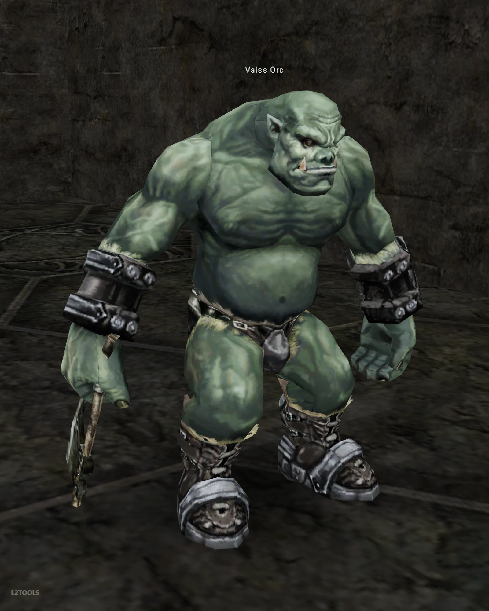 Vaiss Orc portrait