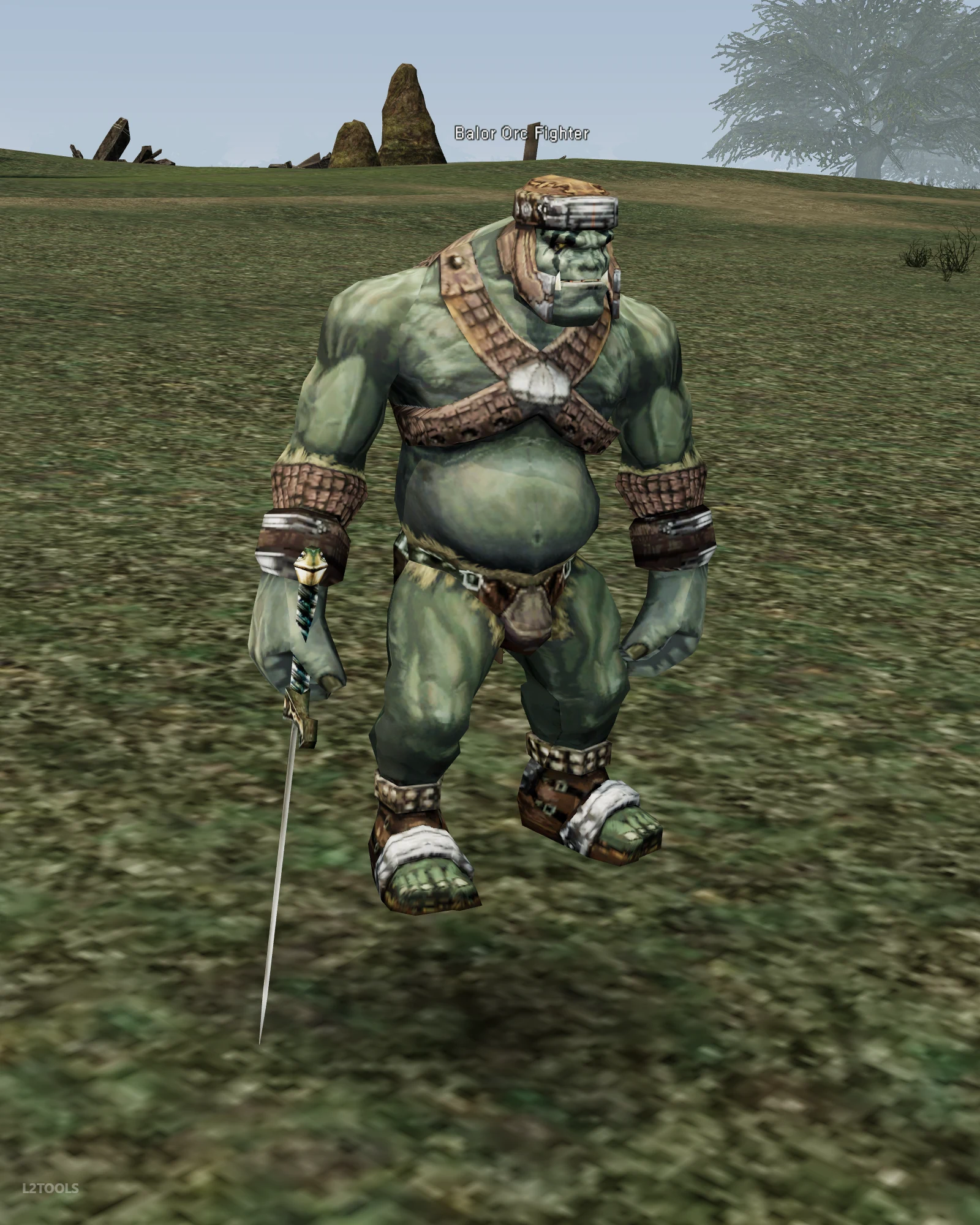 Balor Orc Fighter portrait