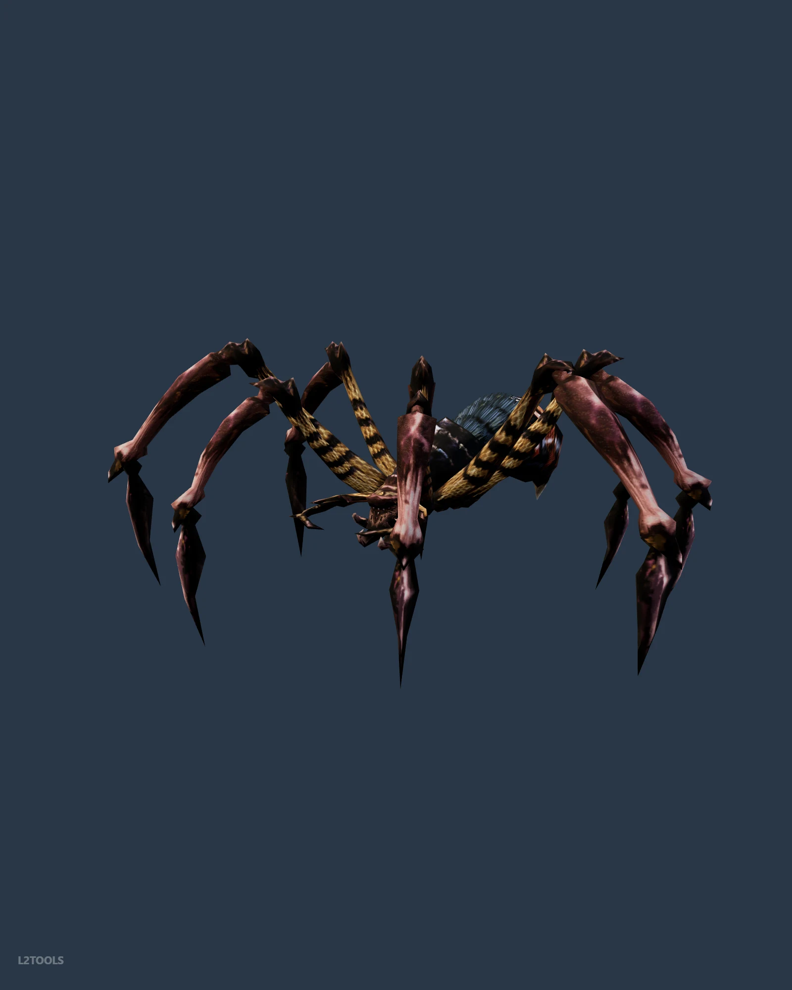 Crimson Tarantula portrait