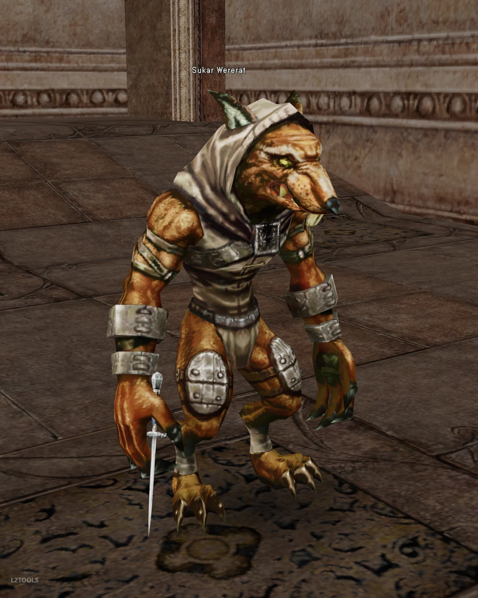 Sukar Wererat portrait
