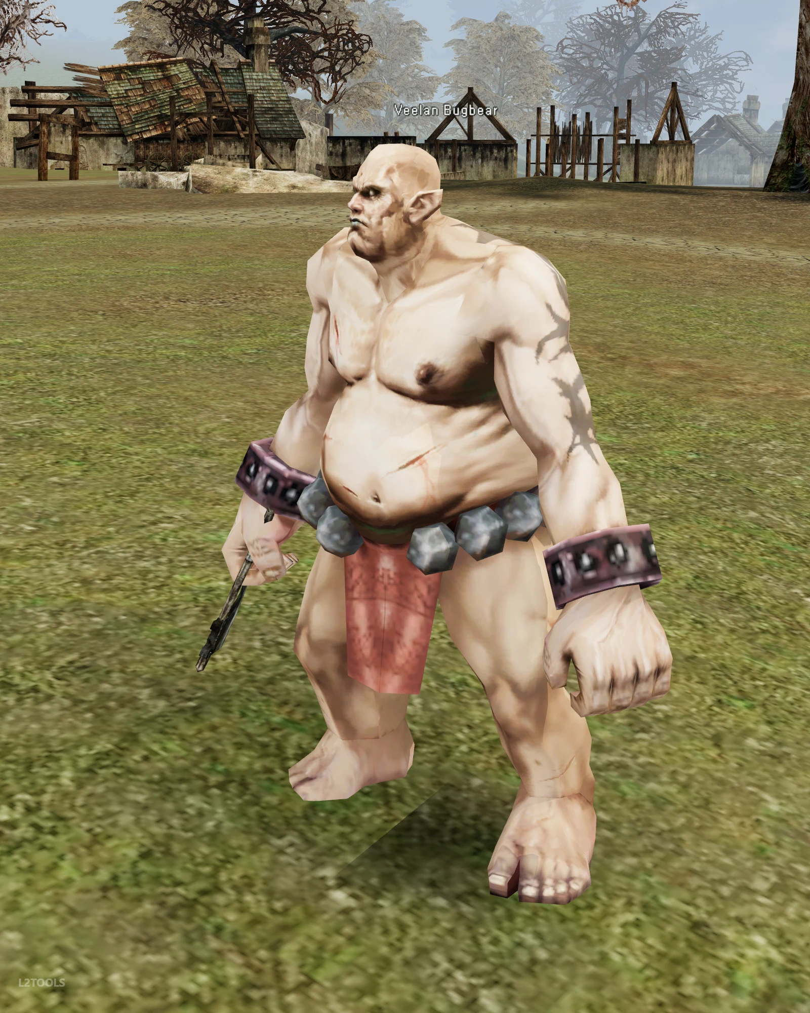 Veelan Bugbear portrait