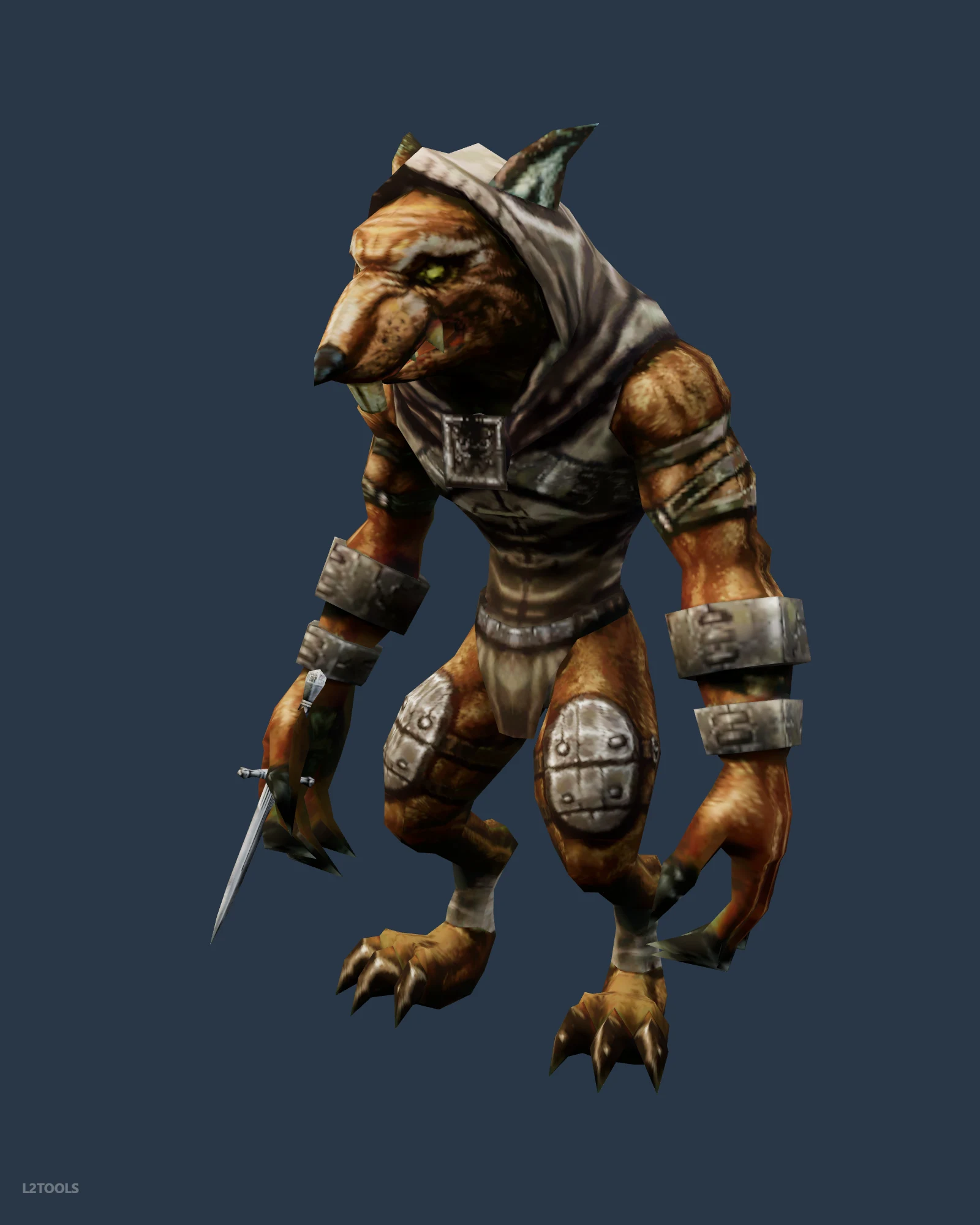 Sukar Wererat Warrior portrait