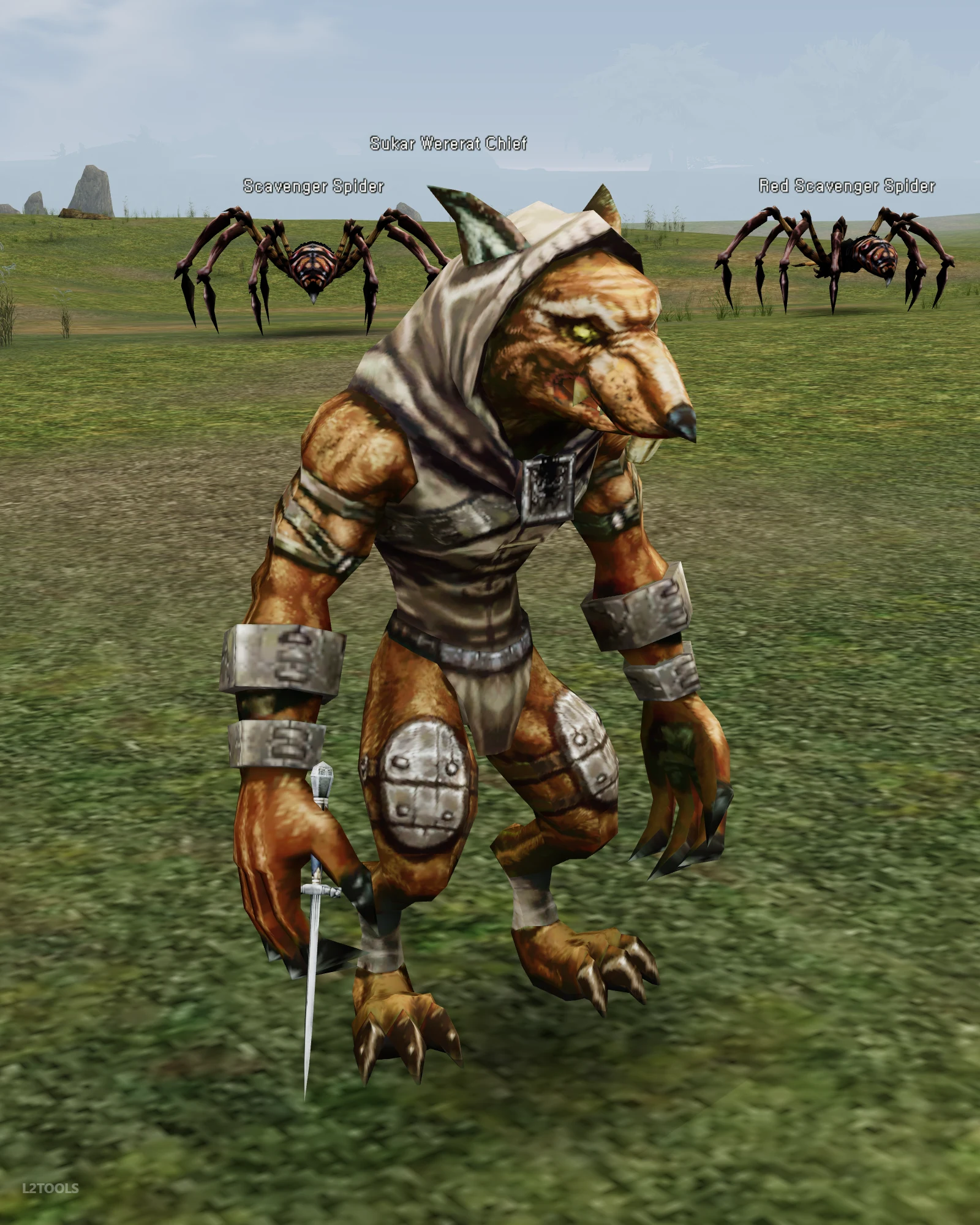 Sukar Wererat Chief portrait