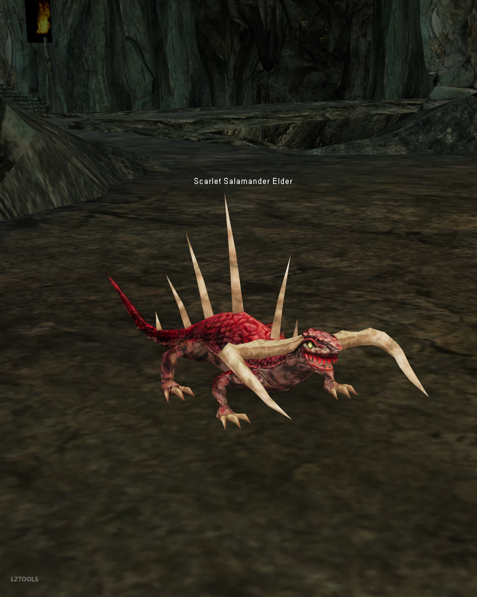 Scarlet Salamander Elder portrait