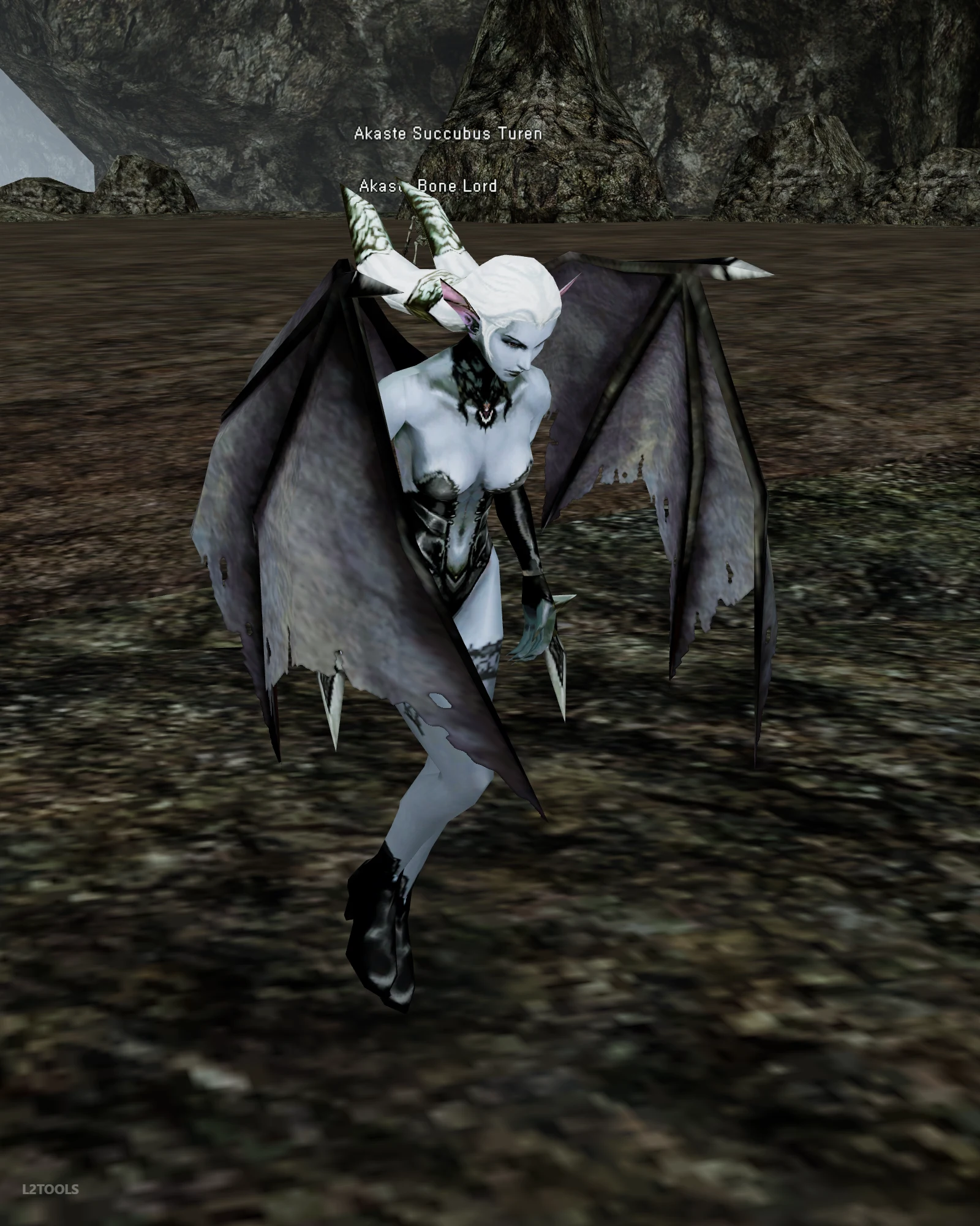 Akaste Succubus Turen portrait