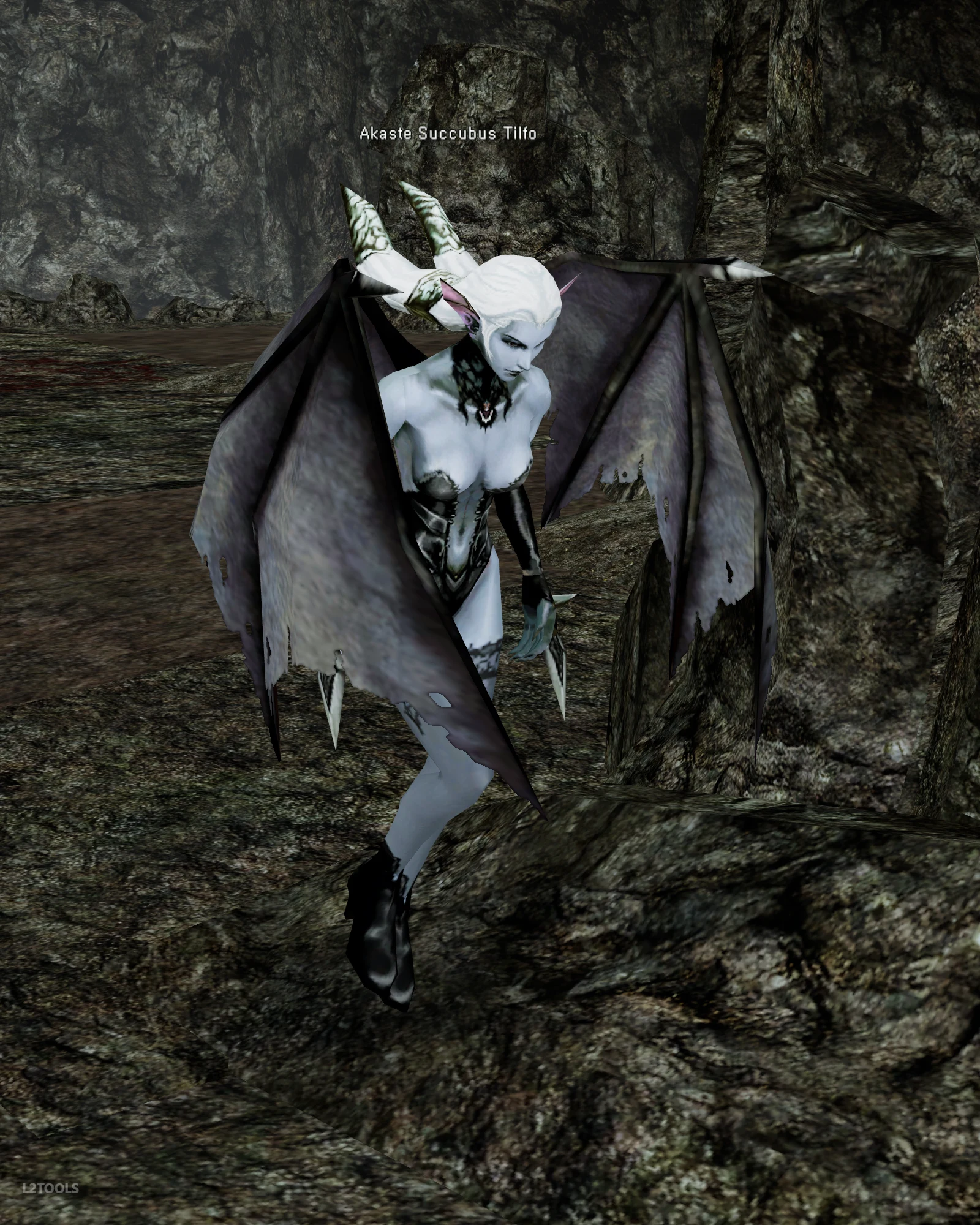 Akaste Succubus Tilfo portrait