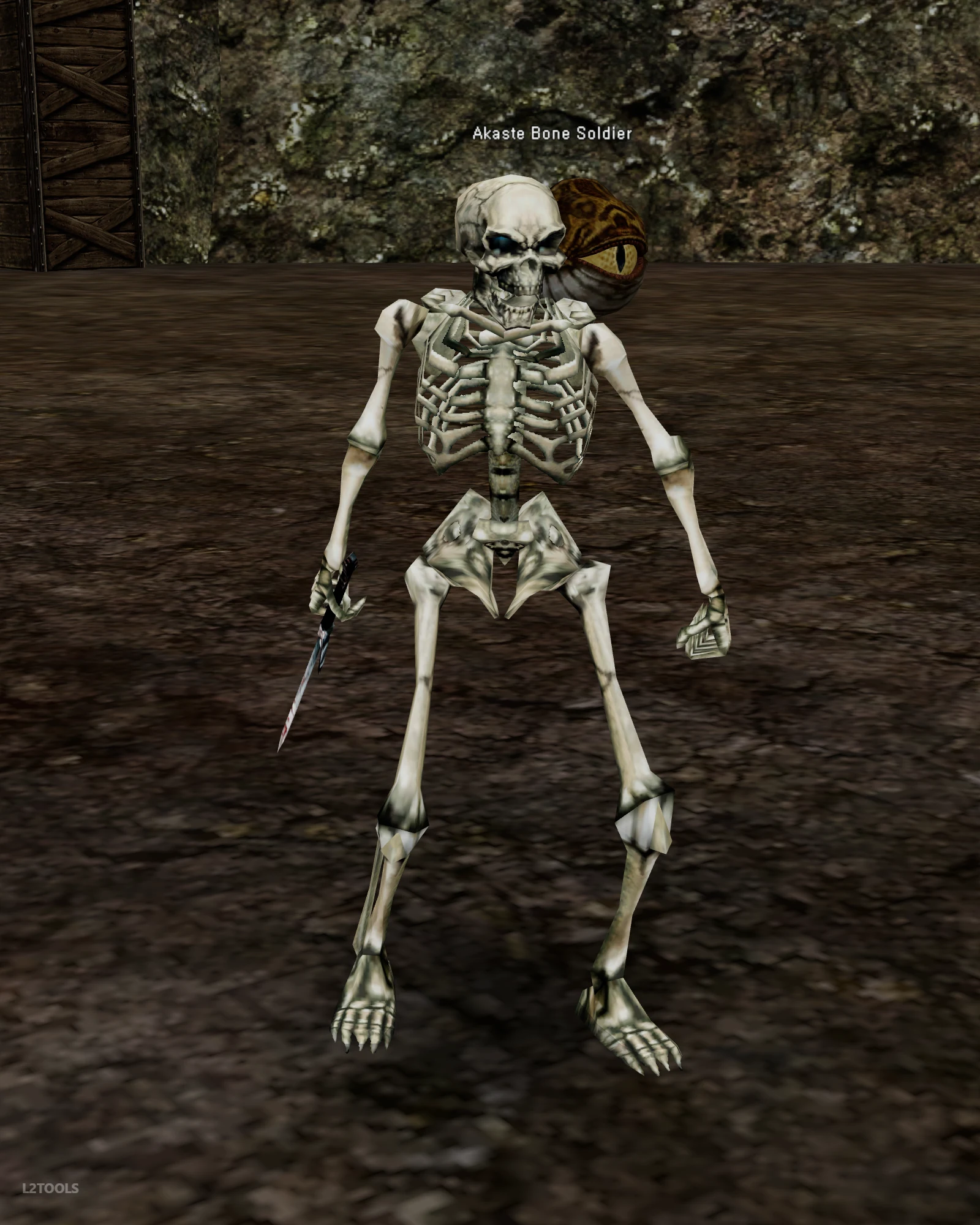 Akaste Bone Soldier portrait