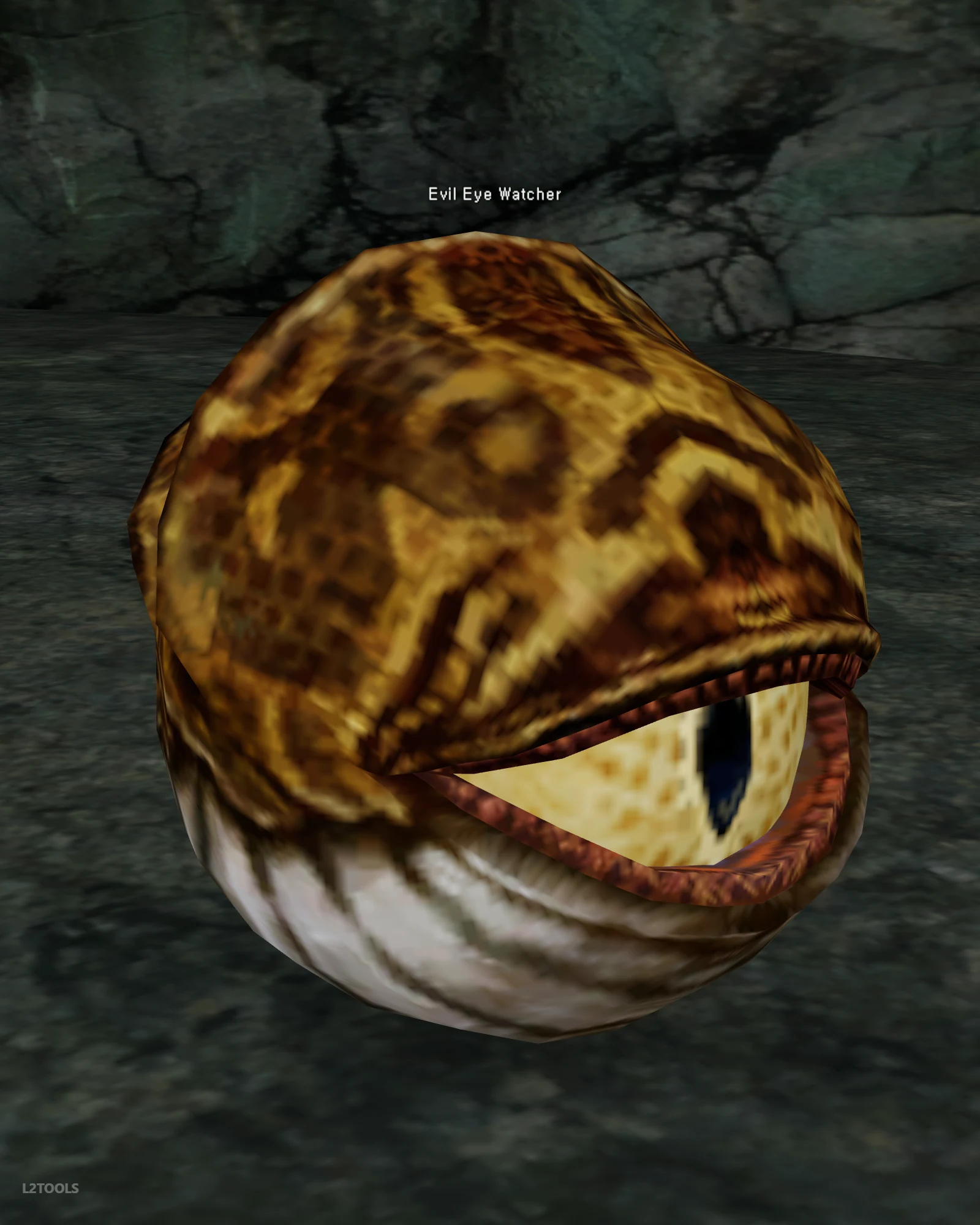 Evil Eye Watcher portrait