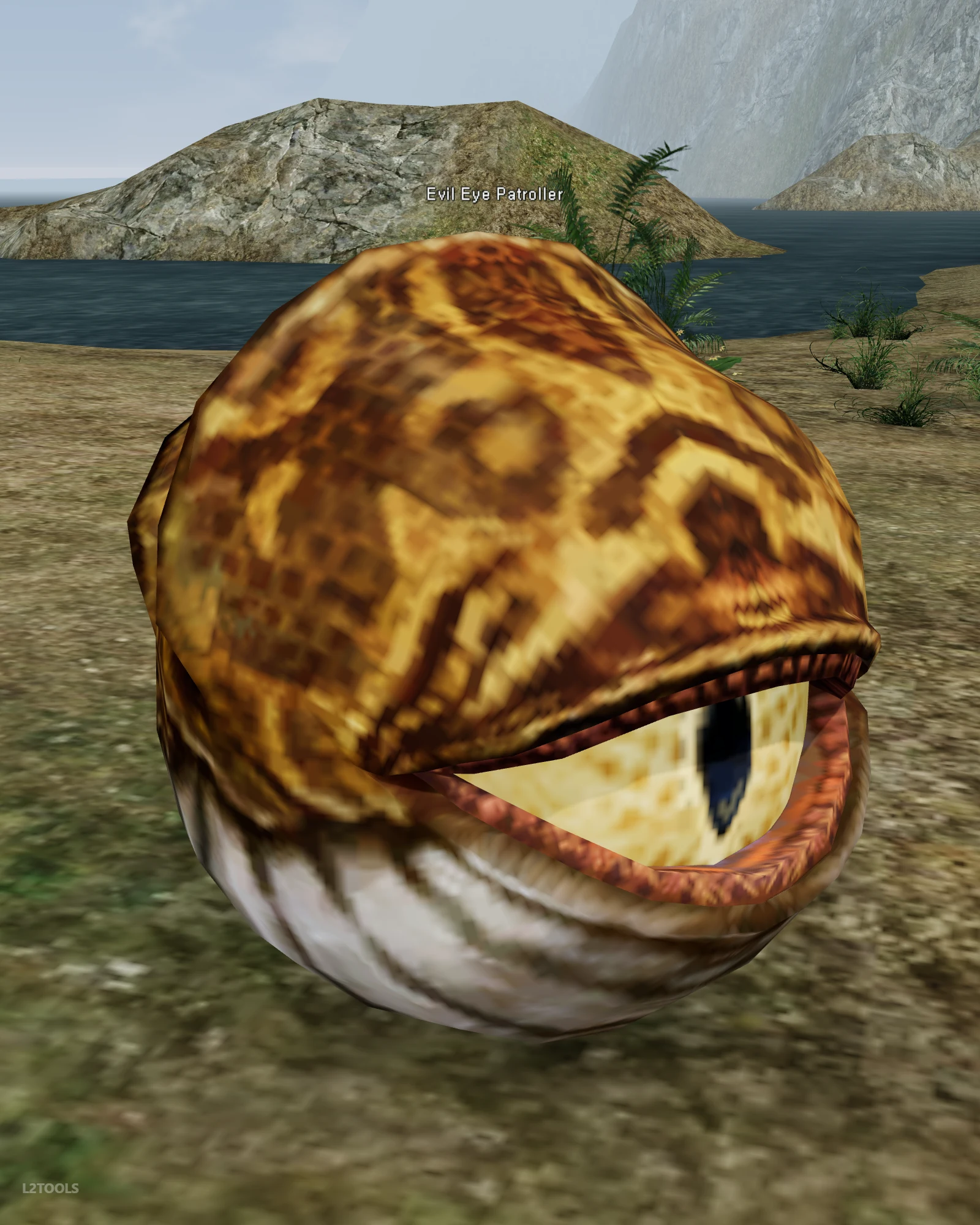 Evil Eye Patroller portrait