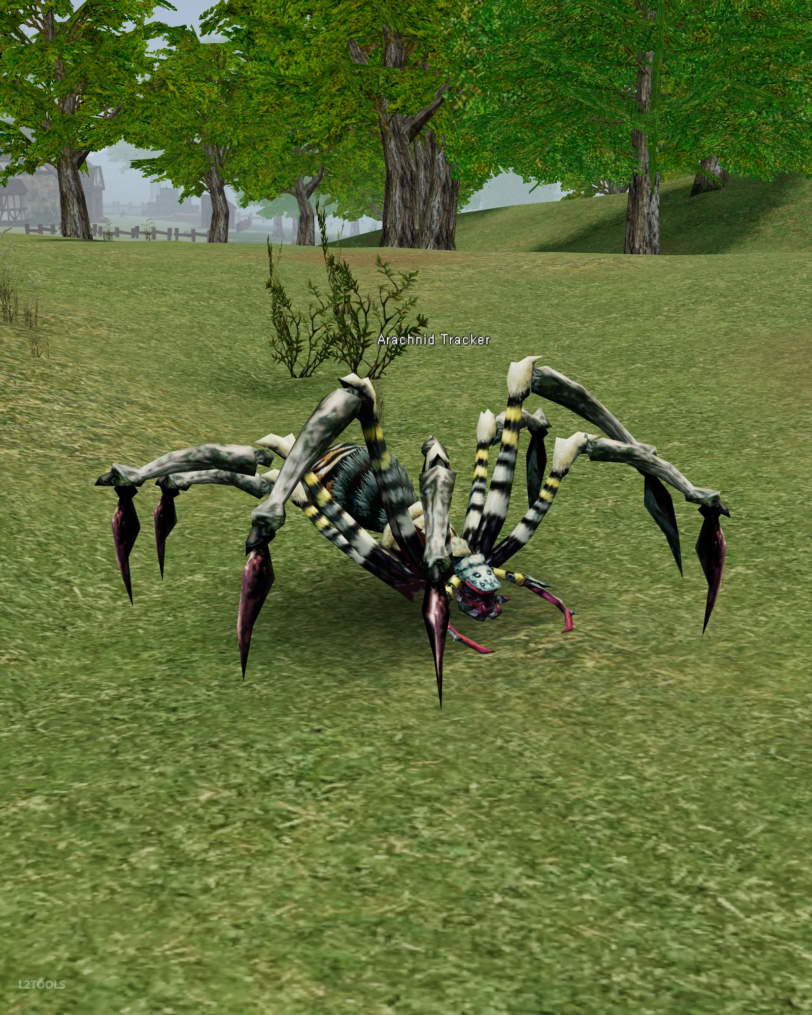 Arachnid Tracker portrait