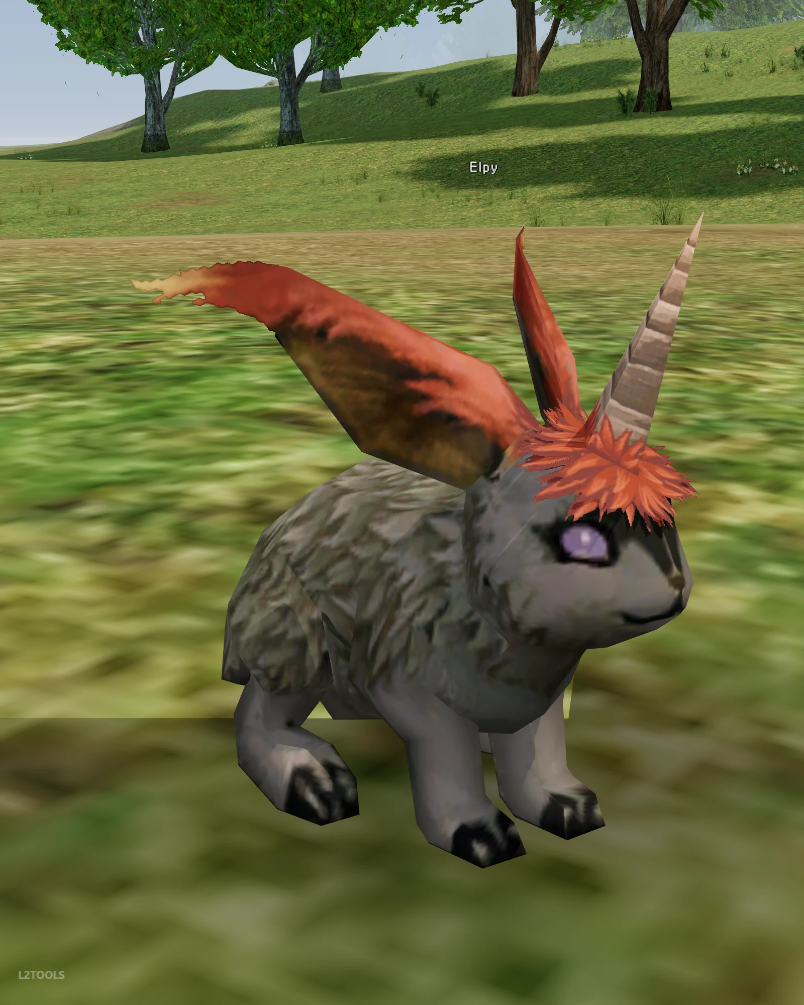Elpy portrait