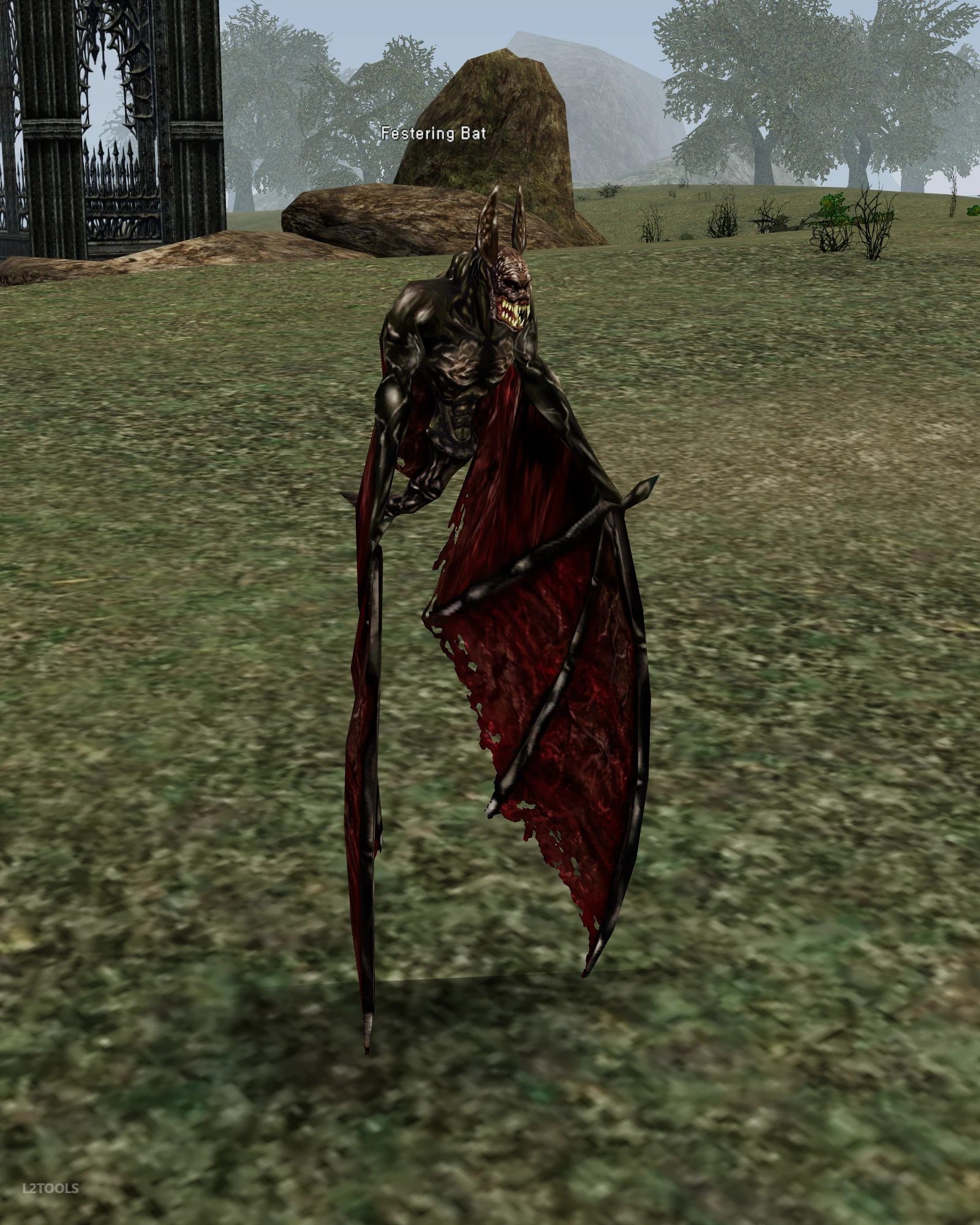 Festering Bat portrait
