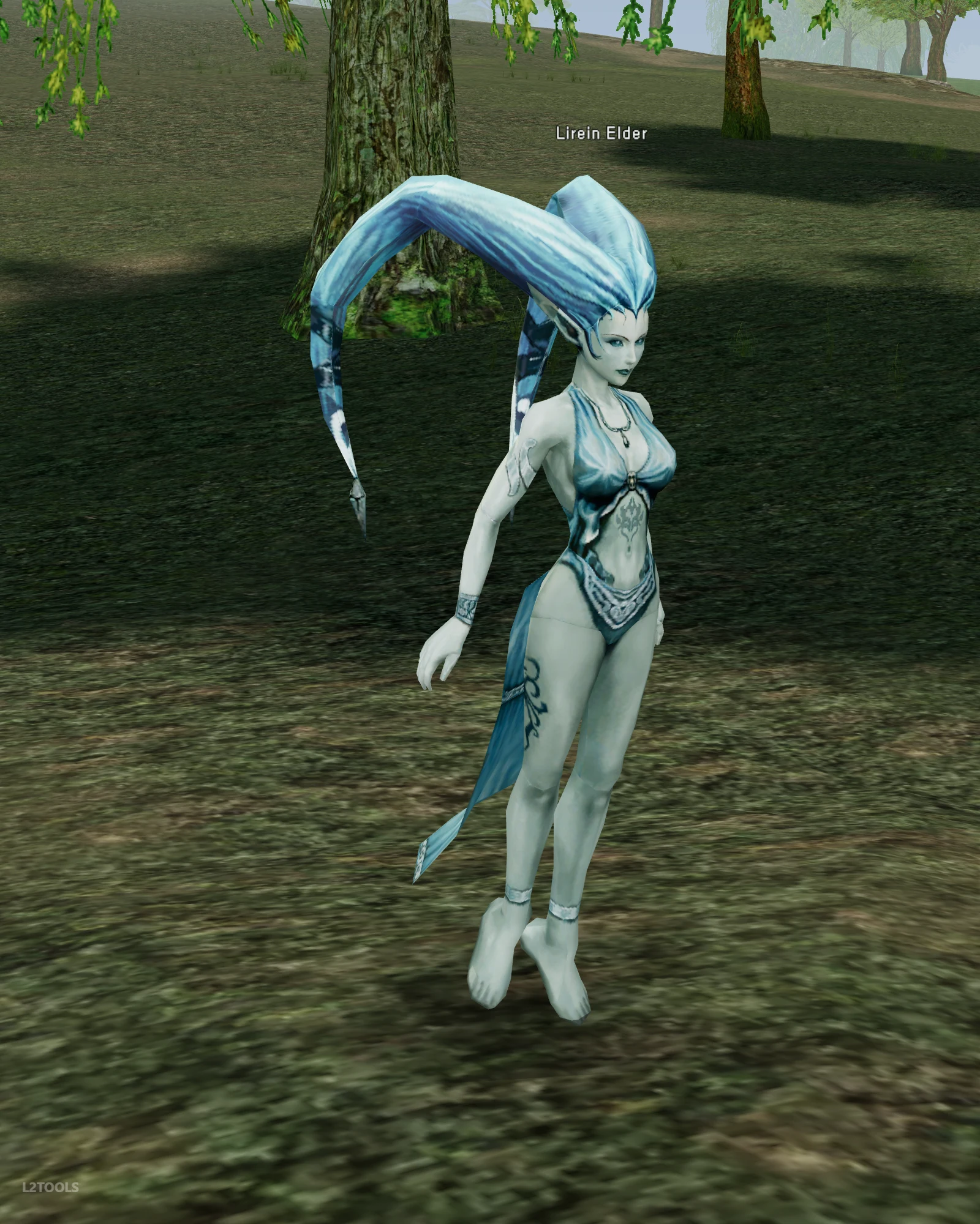 Lirein Elder portrait