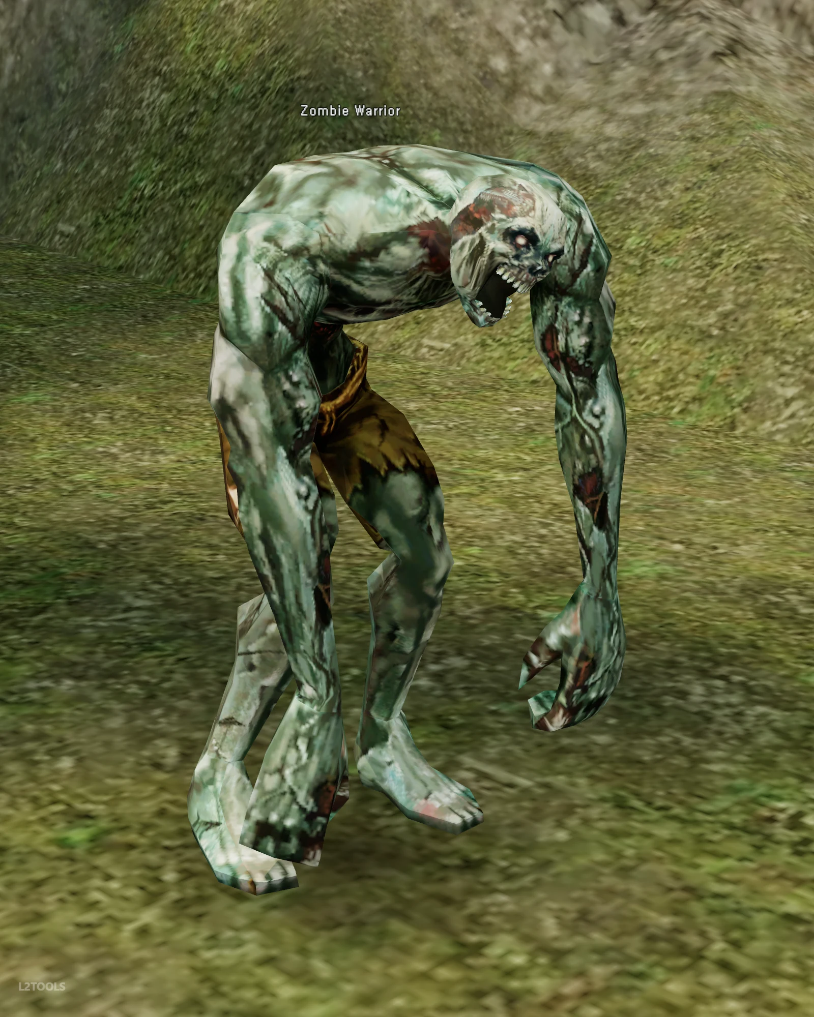 Zombie Warrior portrait