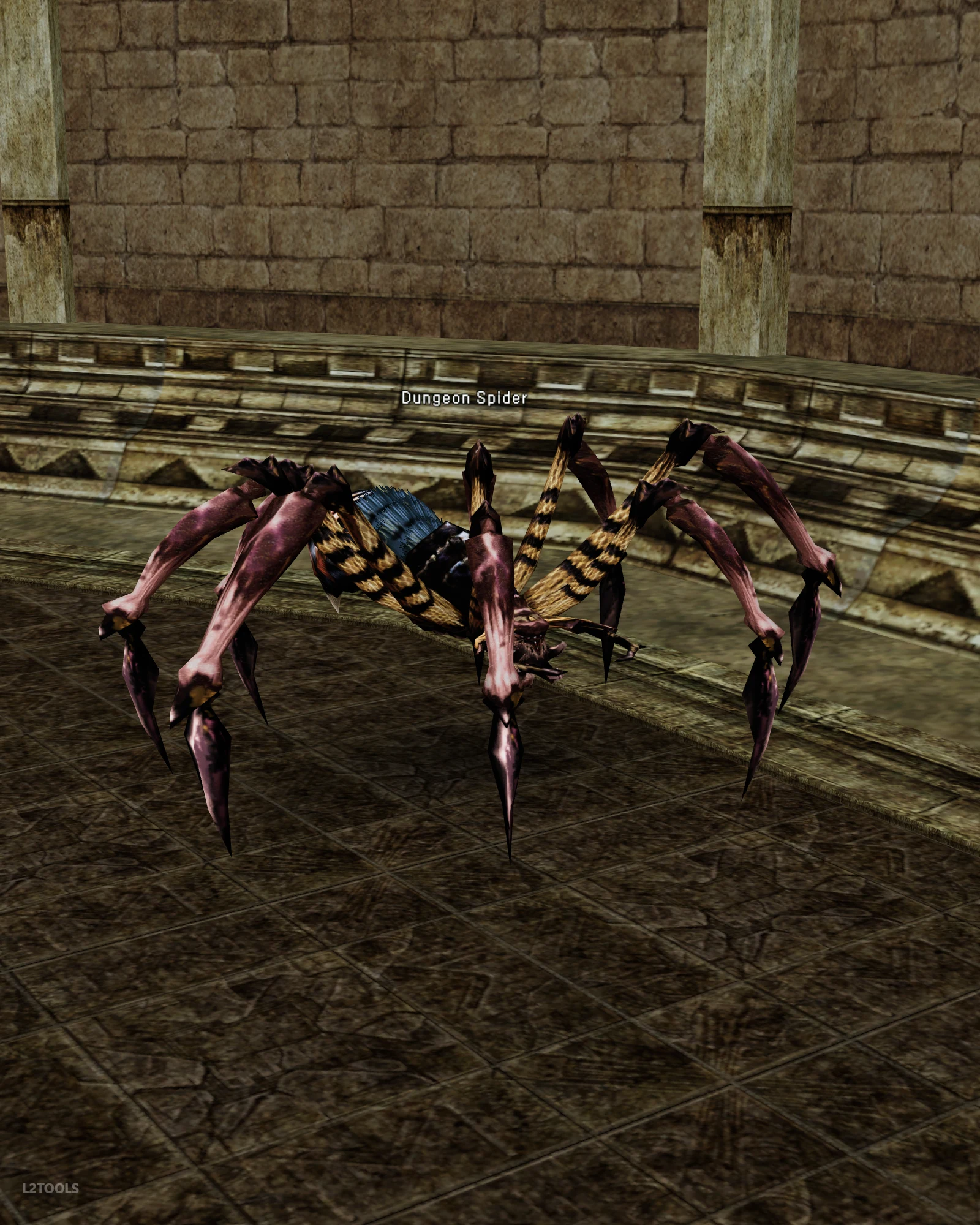 Dungeon Spider portrait