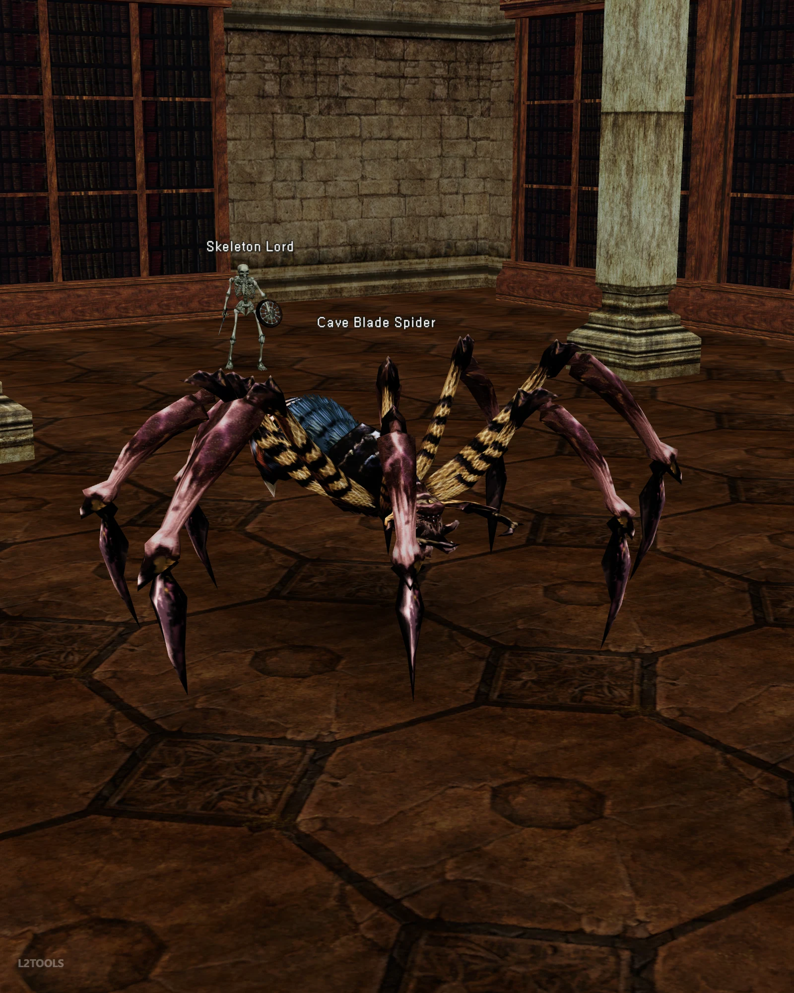 Cave Blade Spider portrait