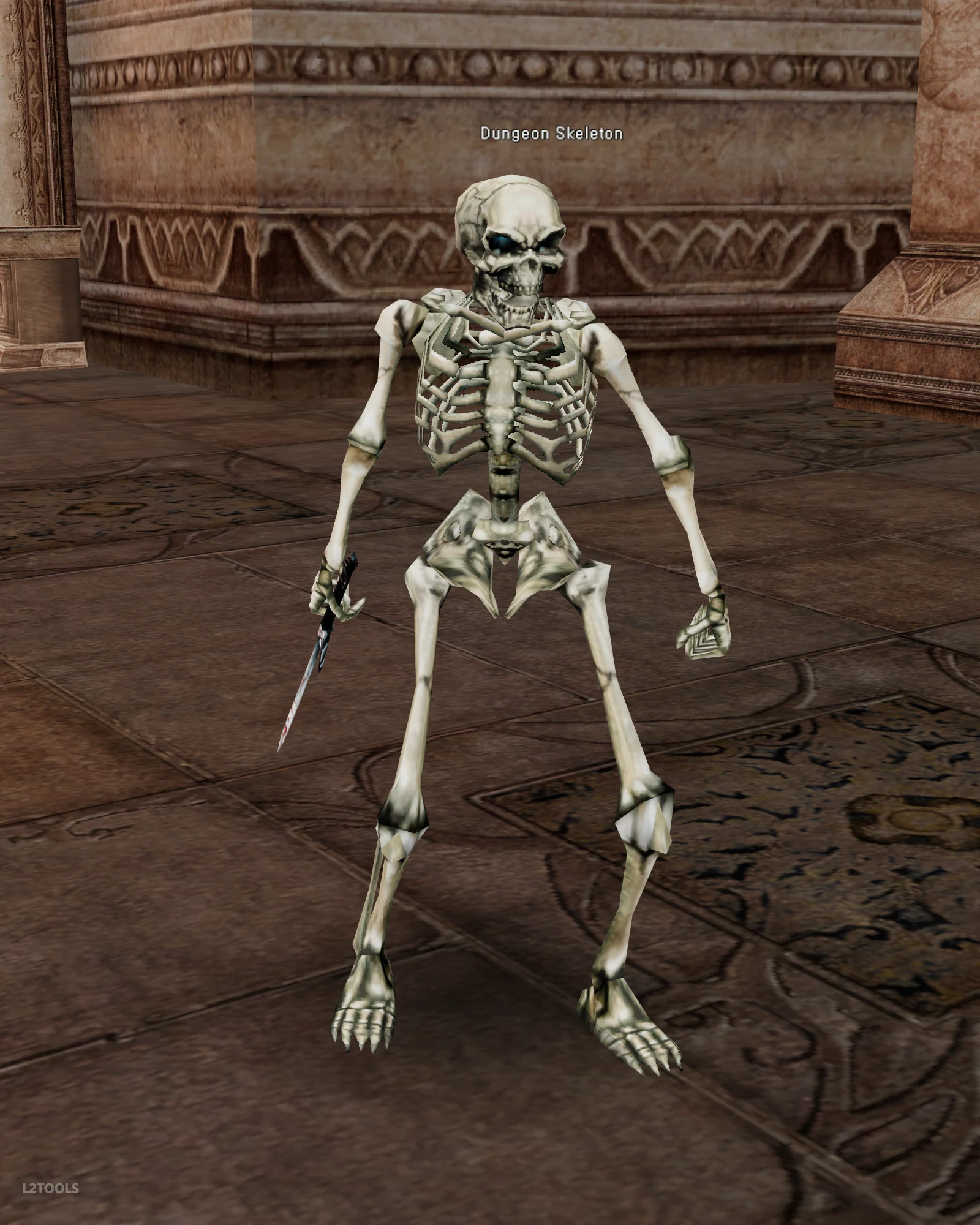 Dungeon Skeleton portrait