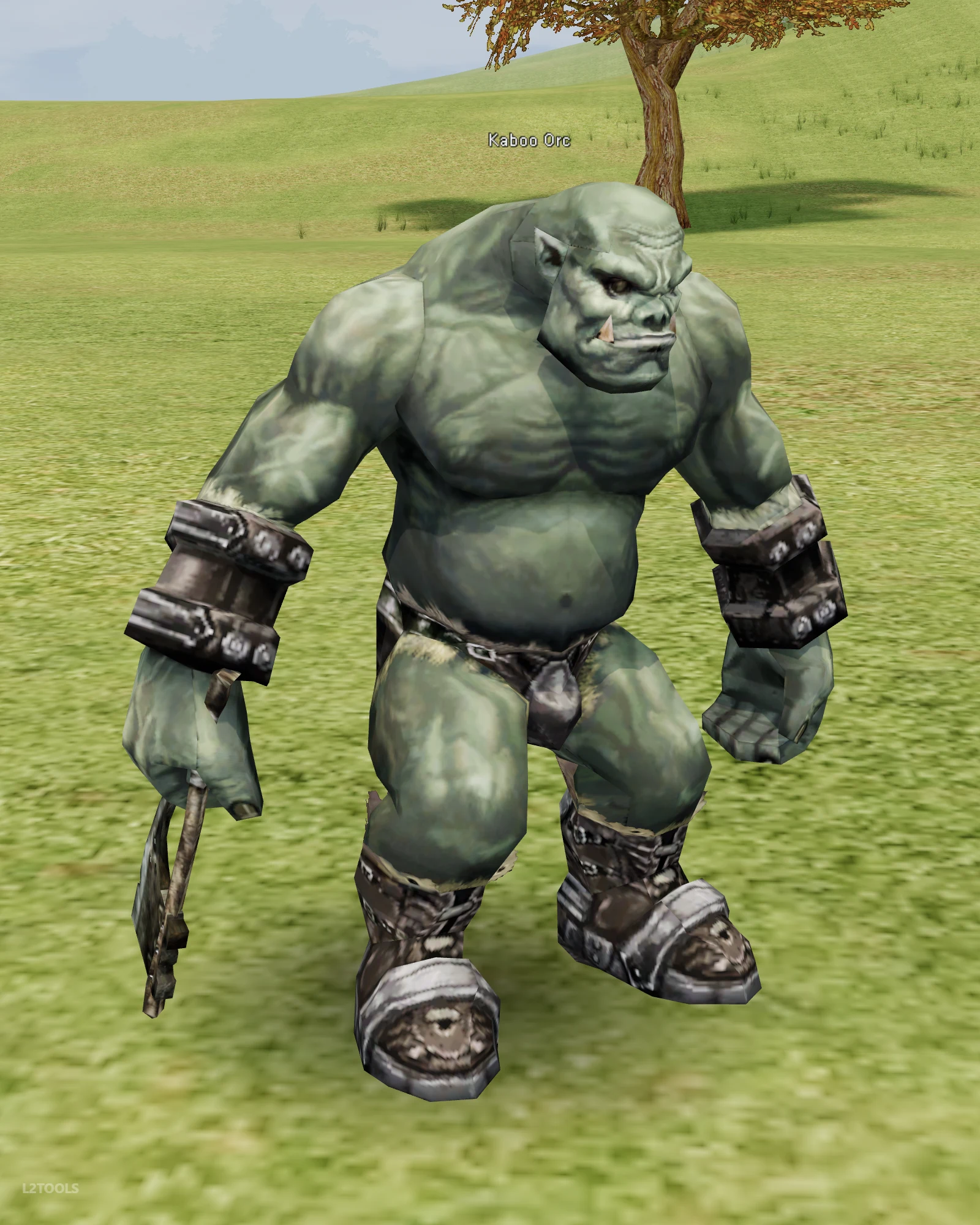Kaboo Orc portrait