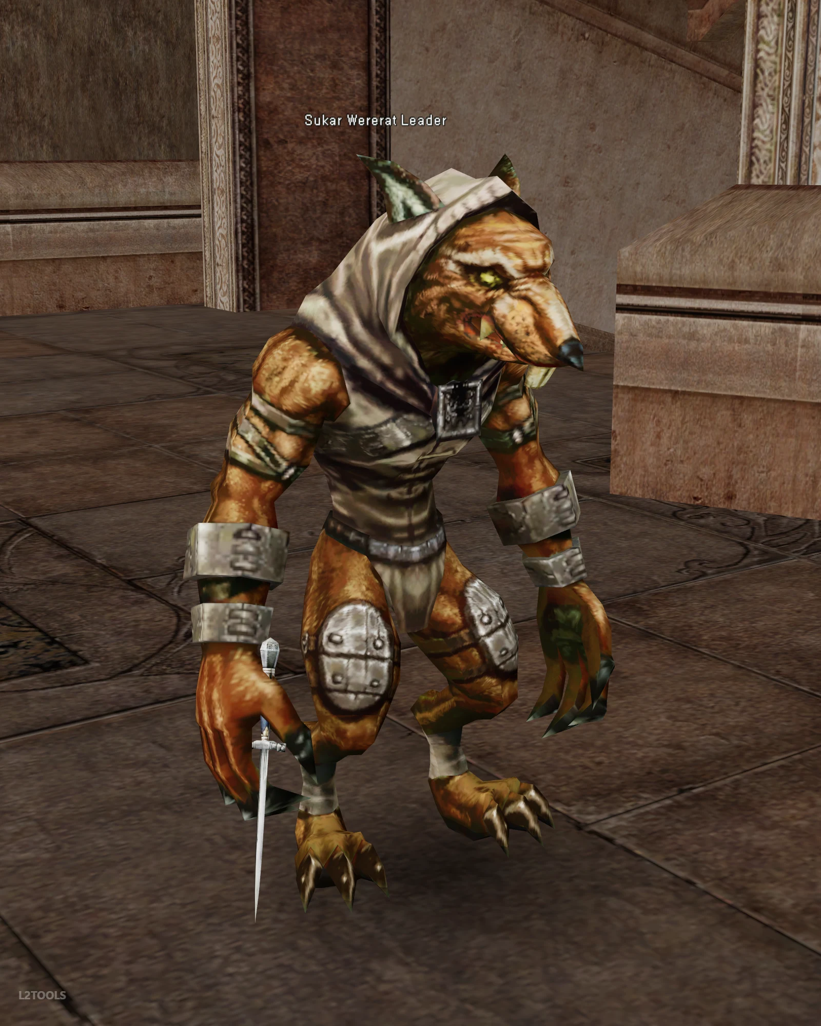 Sukar Wererat Leader portrait