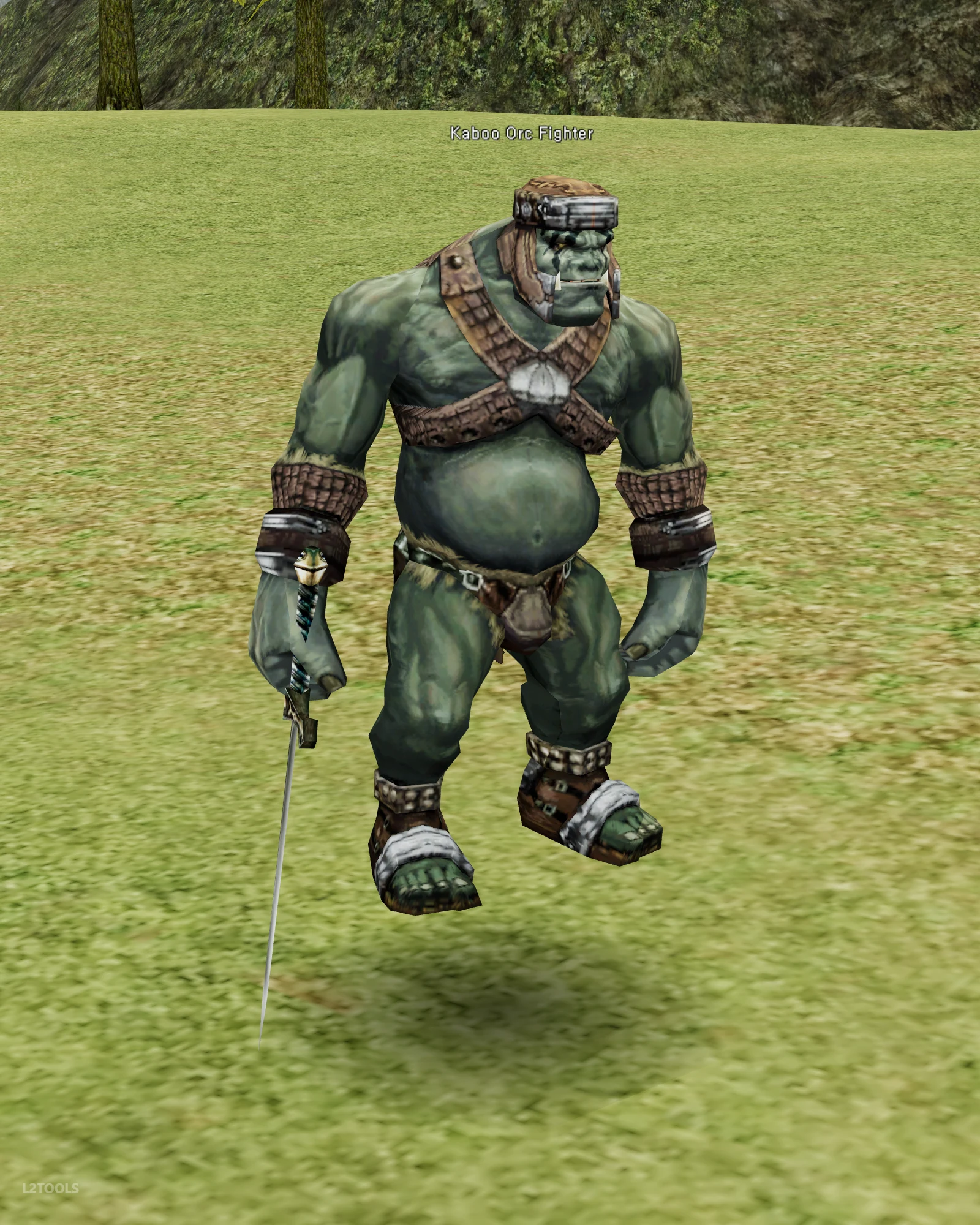 Kaboo Orc Fighter portrait