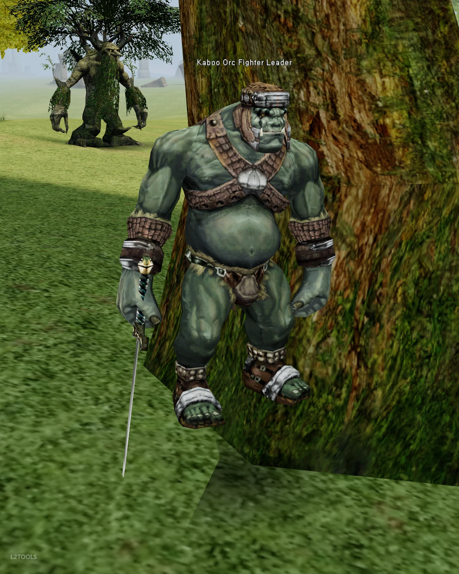 Kaboo Orc Fighter Leader portrait