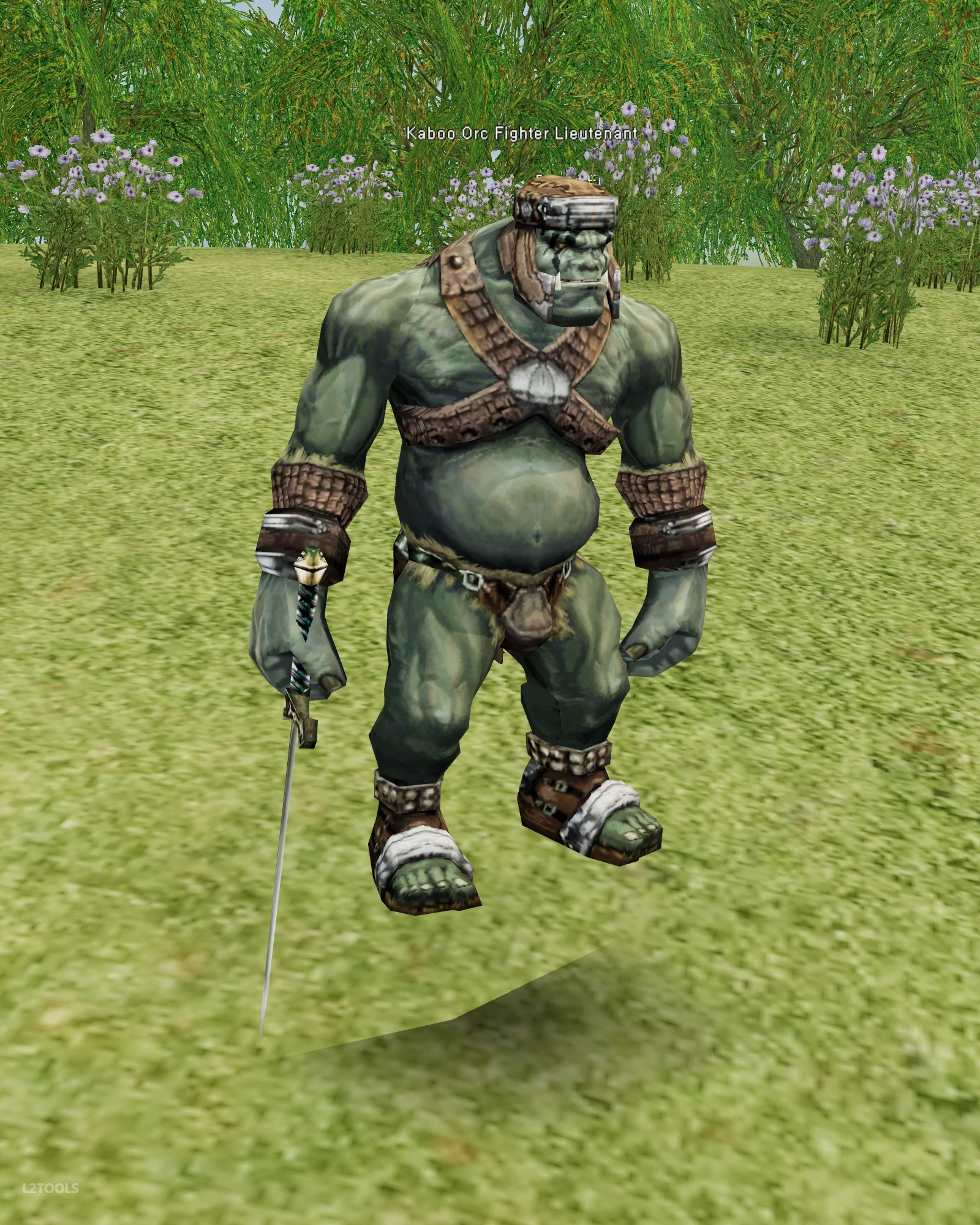 Kaboo Orc Fighter Lieutenant portrait