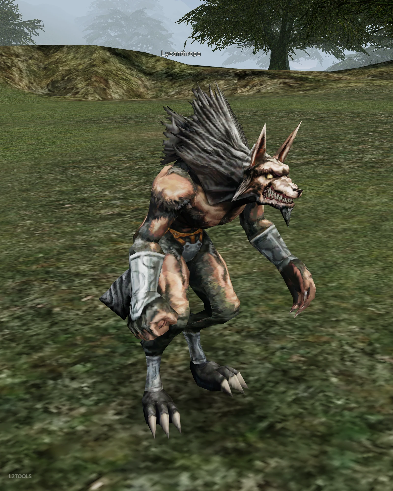 Lycanthrope portrait