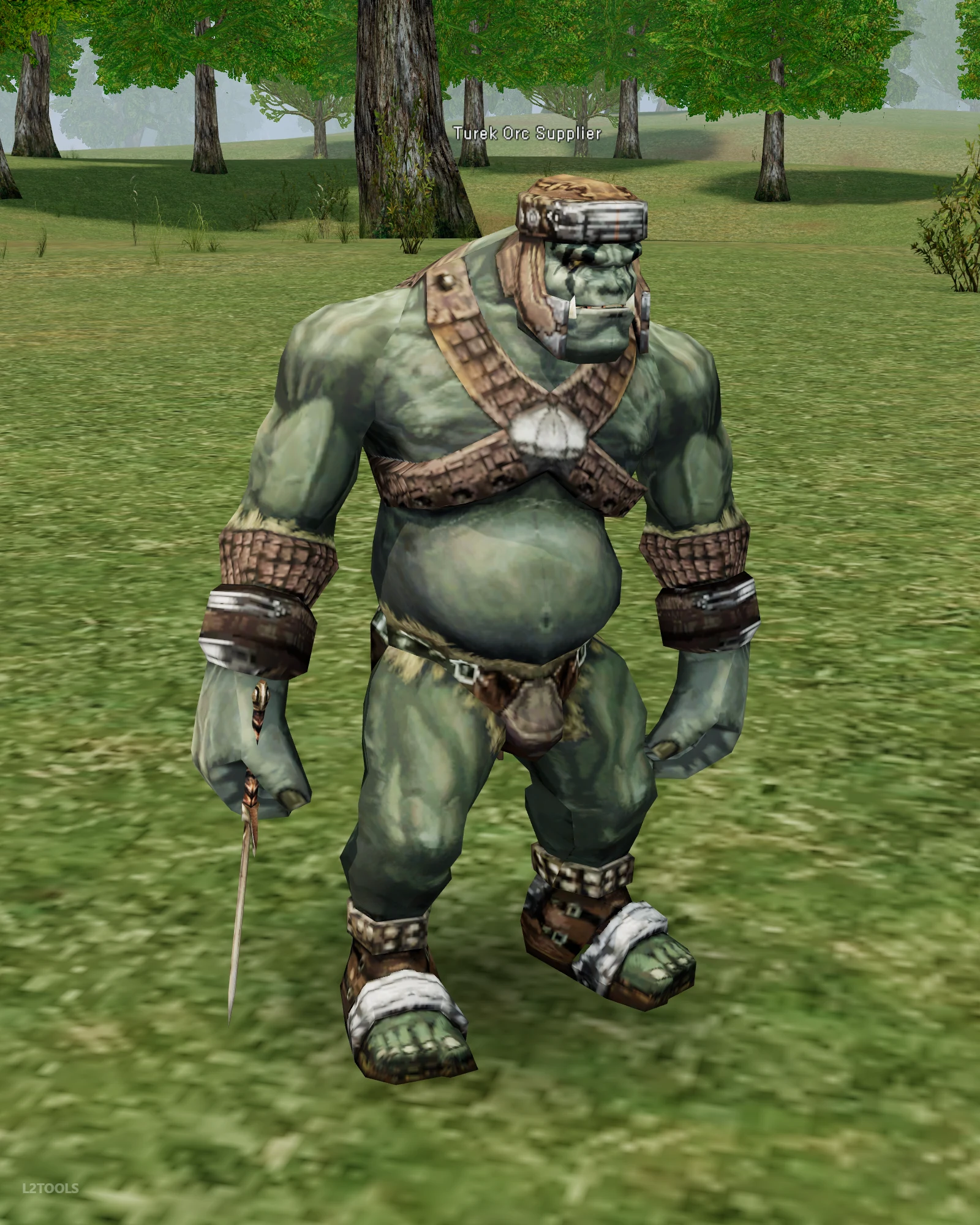 Turek Orc Supplier portrait