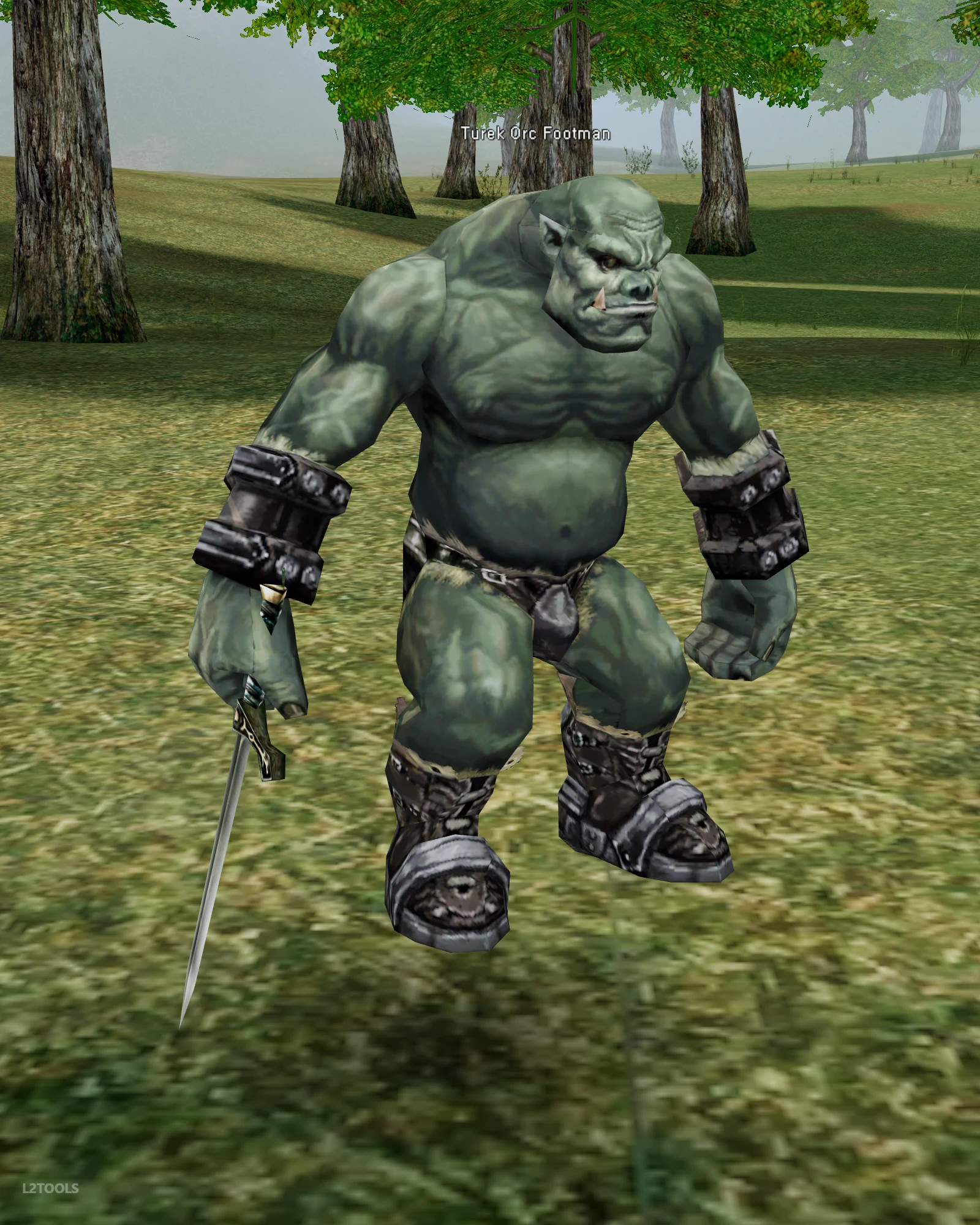 Turek Orc Footman portrait