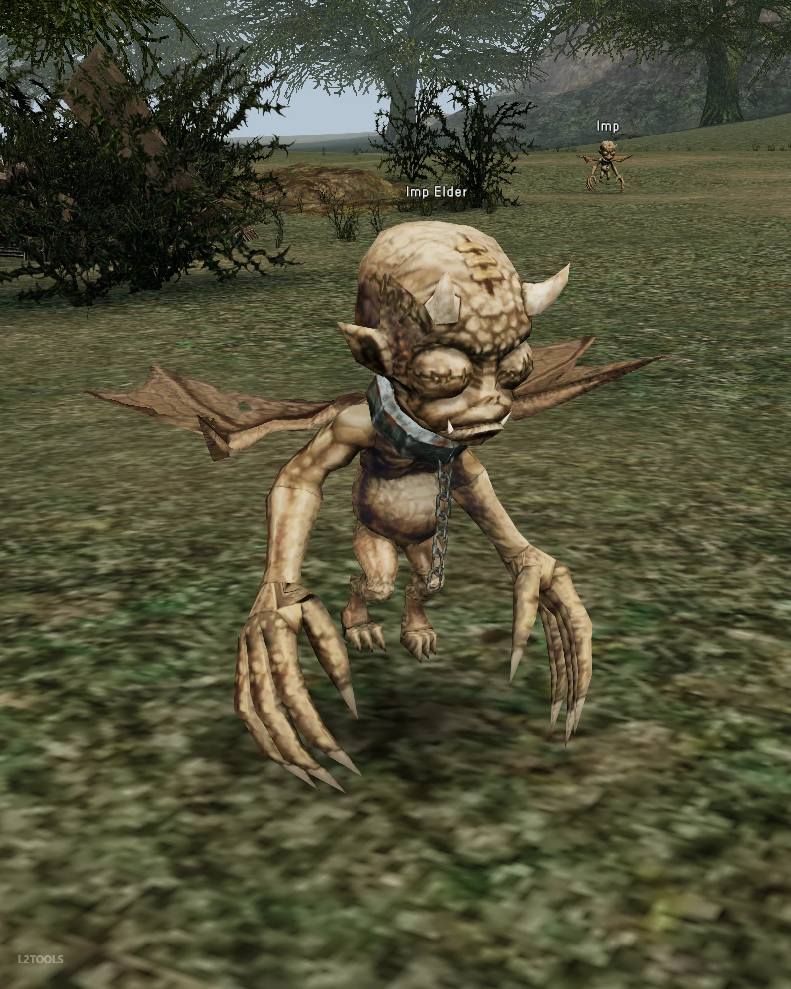 Imp Elder portrait