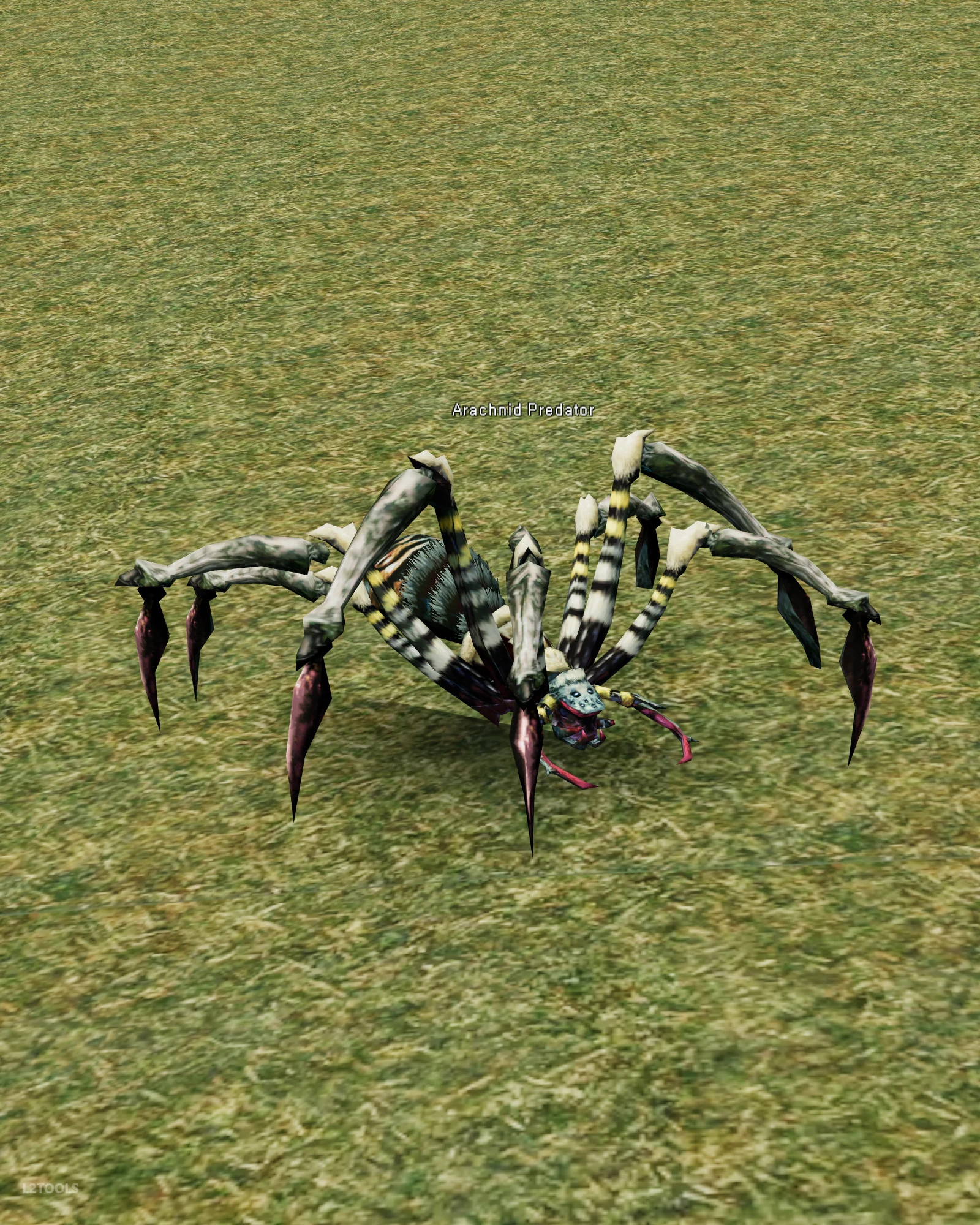 Arachnid Predator portrait