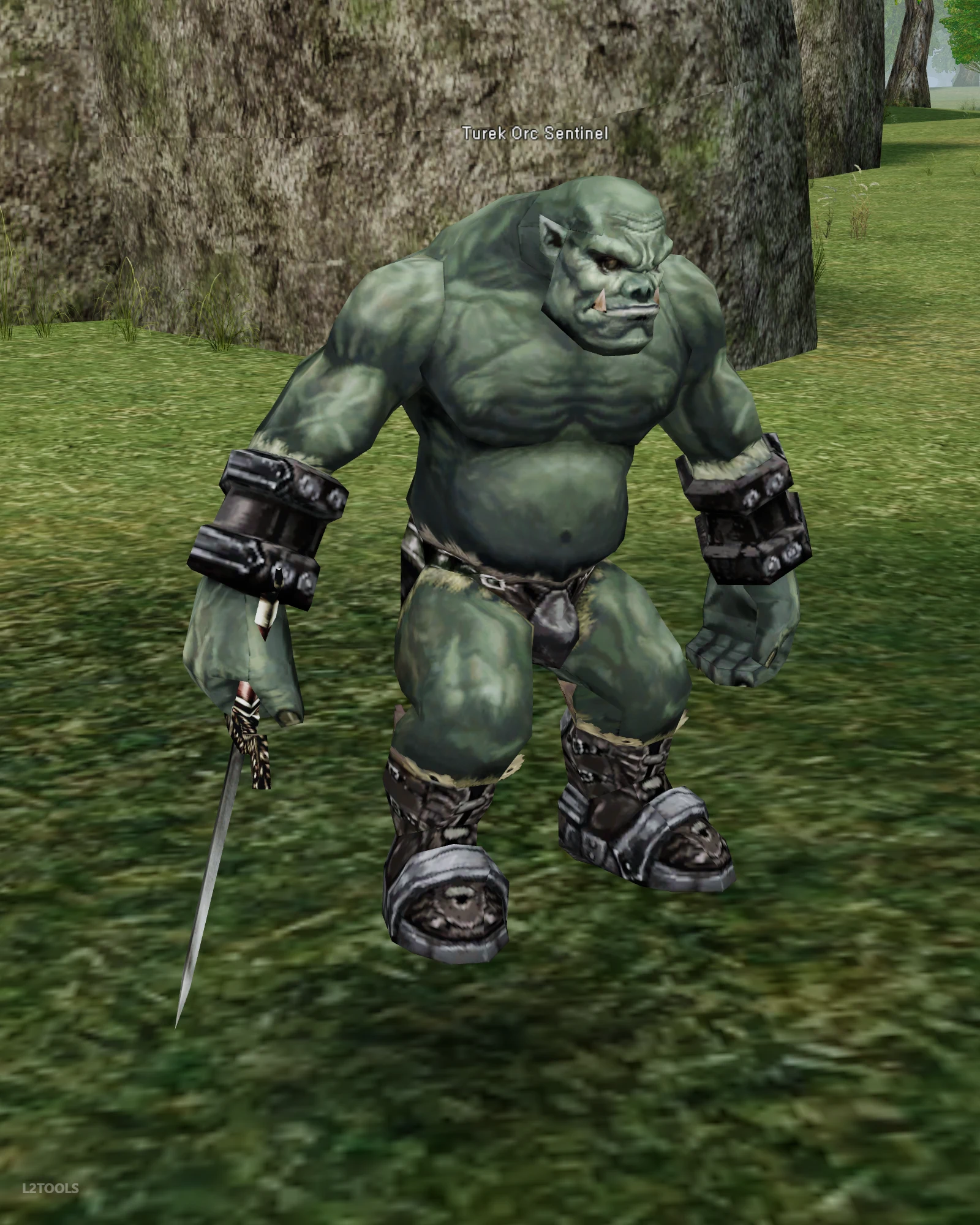 Turek Orc Sentinel portrait