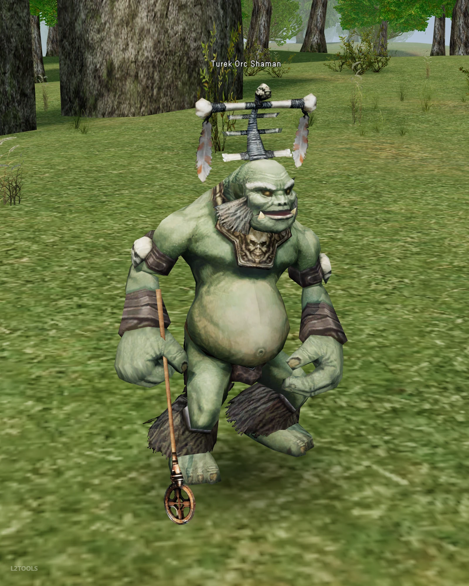 Turek Orc Shaman portrait