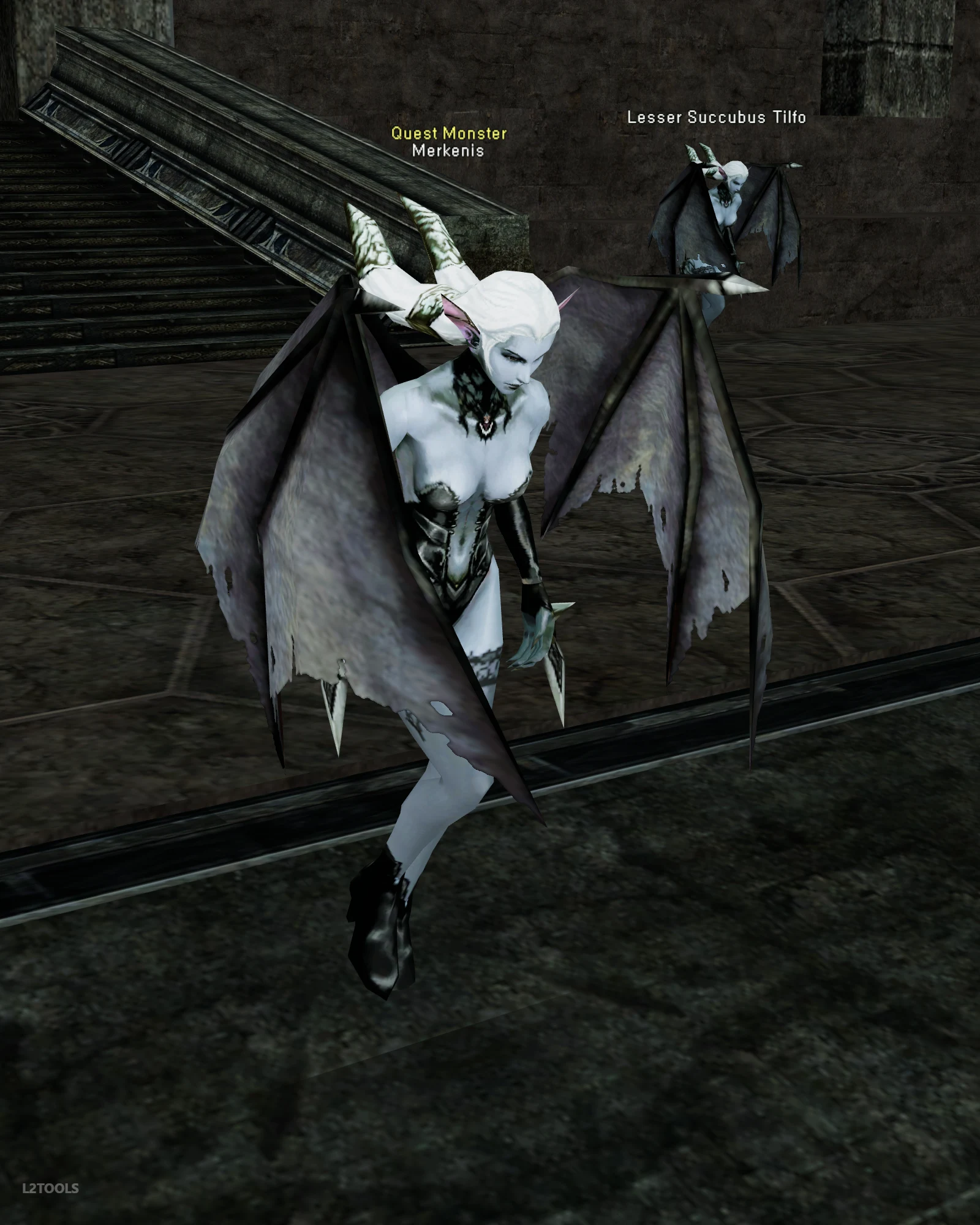 Merkenis portrait