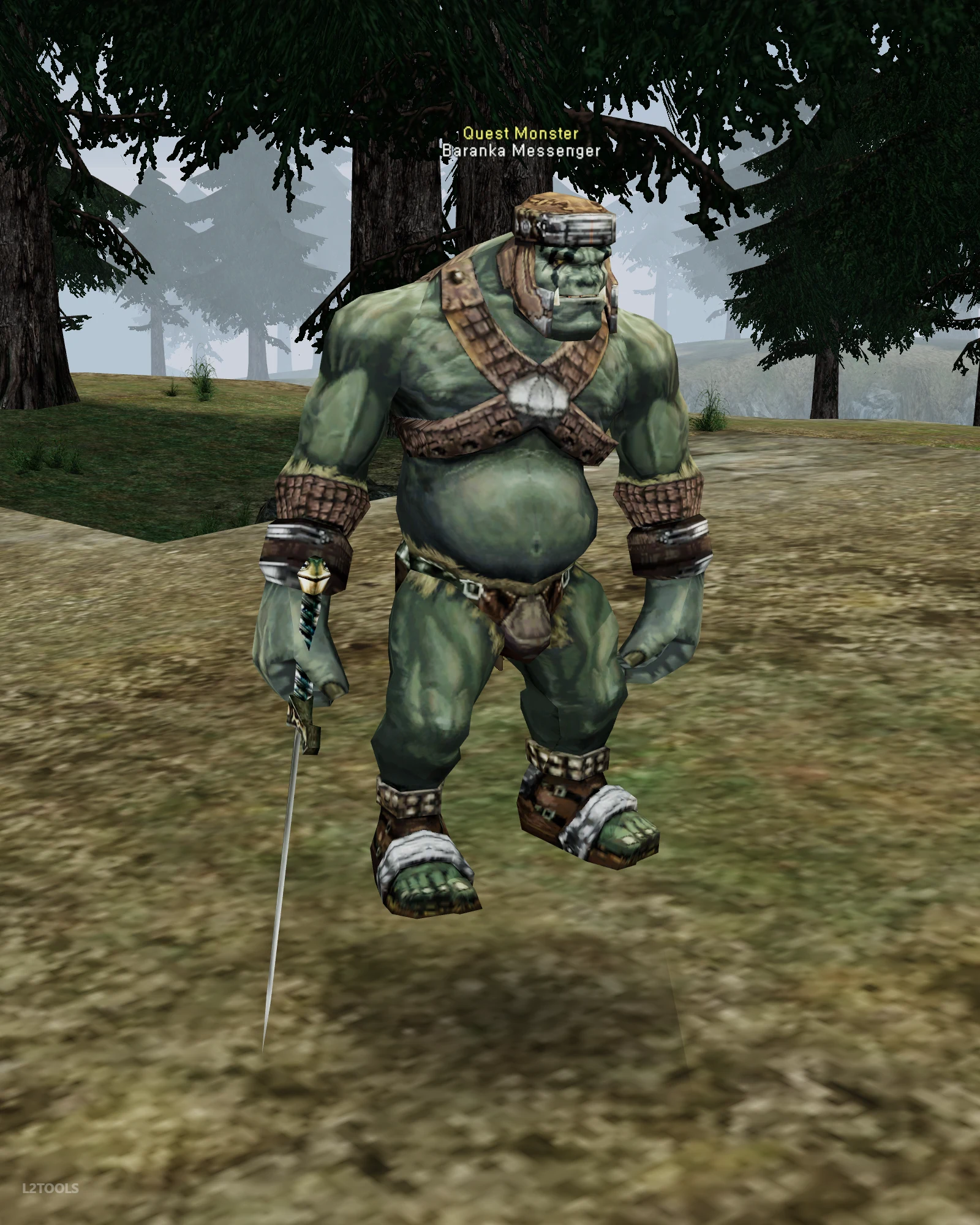 Baranka Messenger portrait