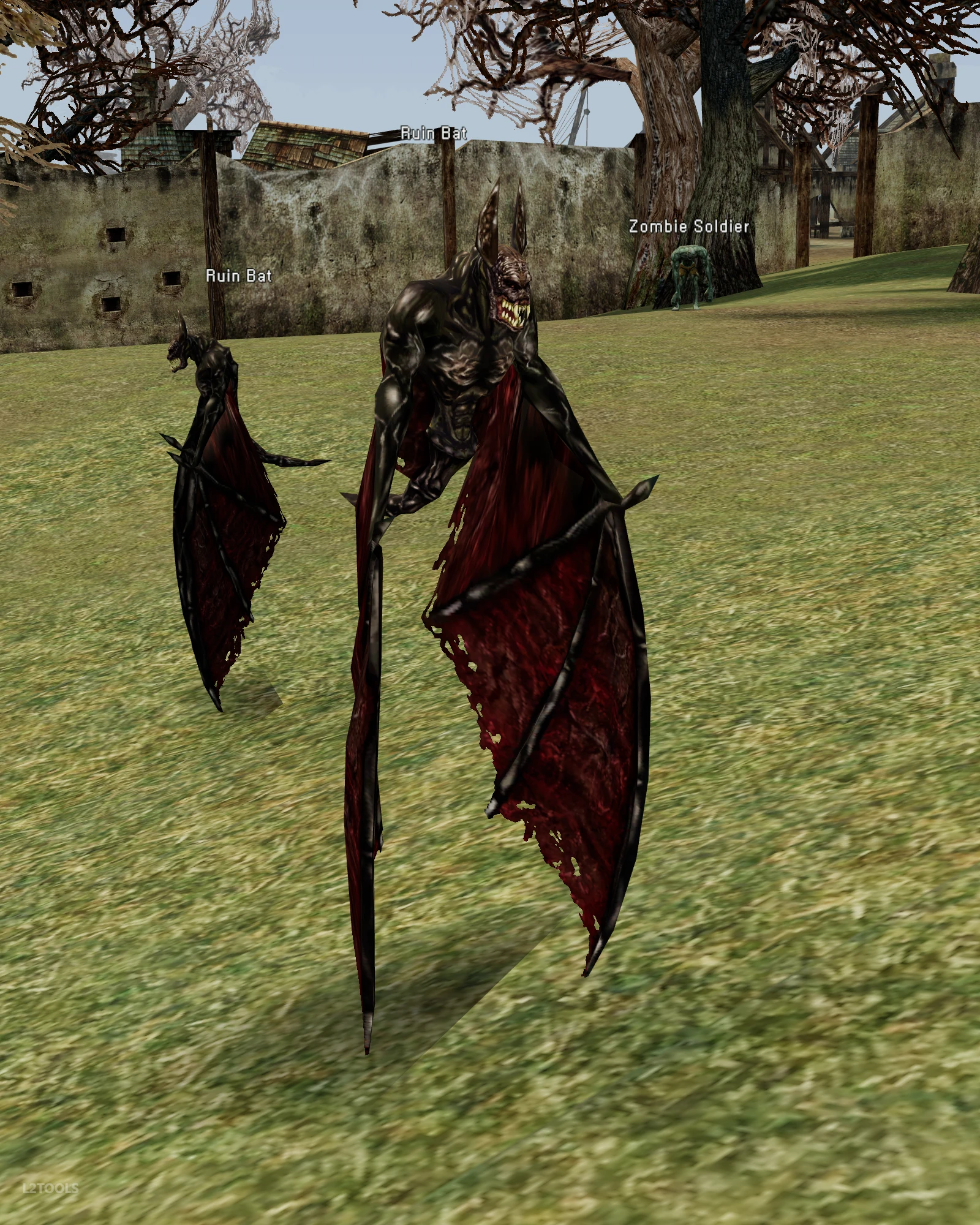 Ruin Bat portrait