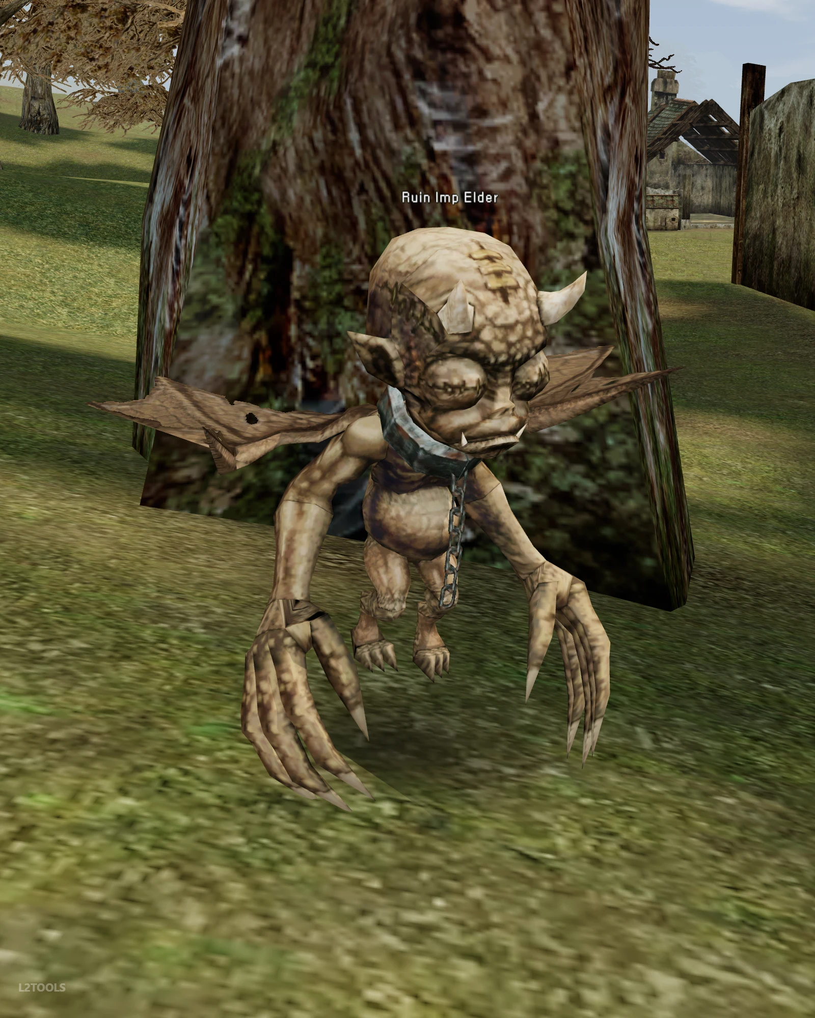 Ruin Imp Elder portrait