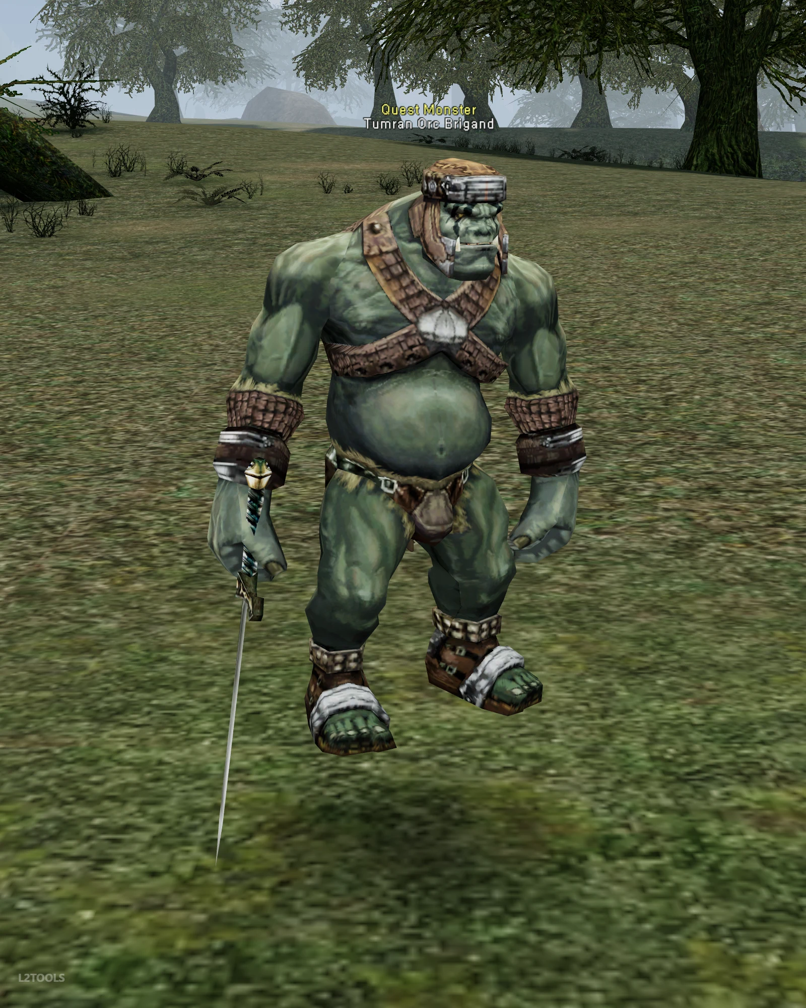 Tumran Orc Brigand portrait