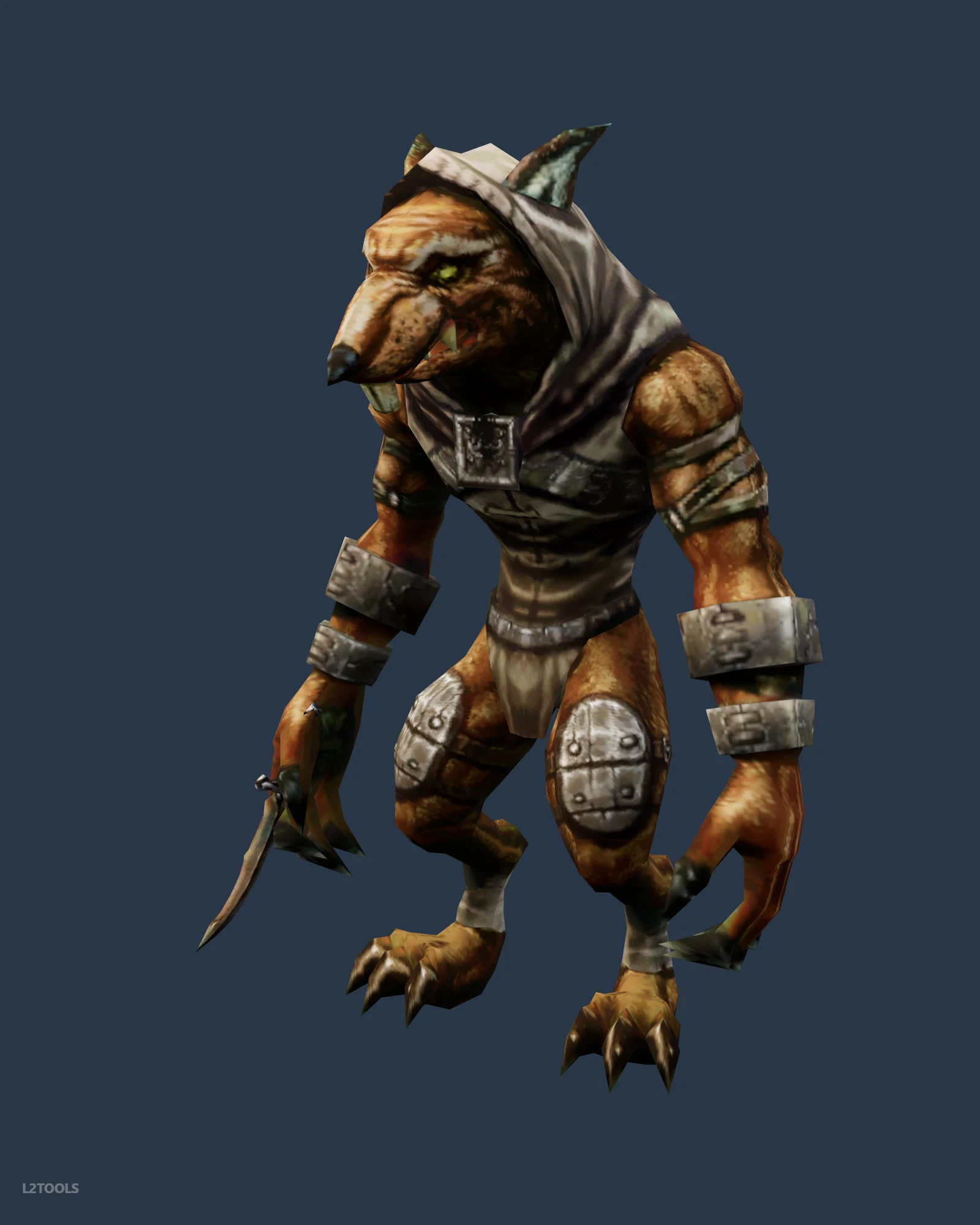Road Collector portrait