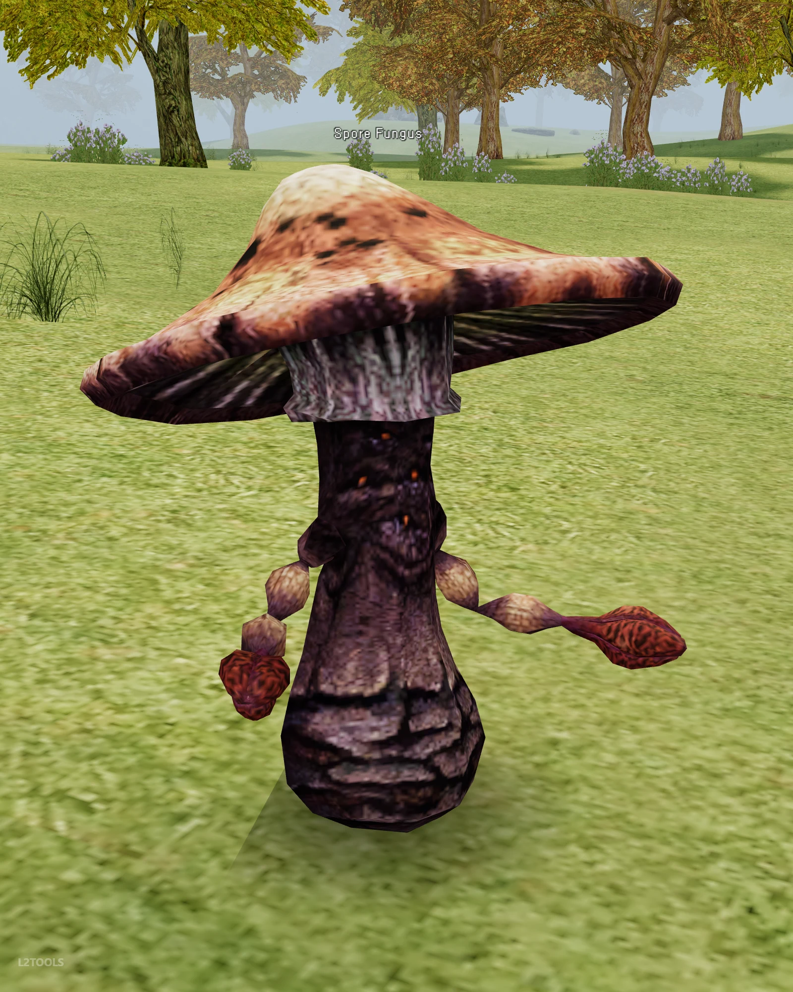 Spore Fungus portrait
