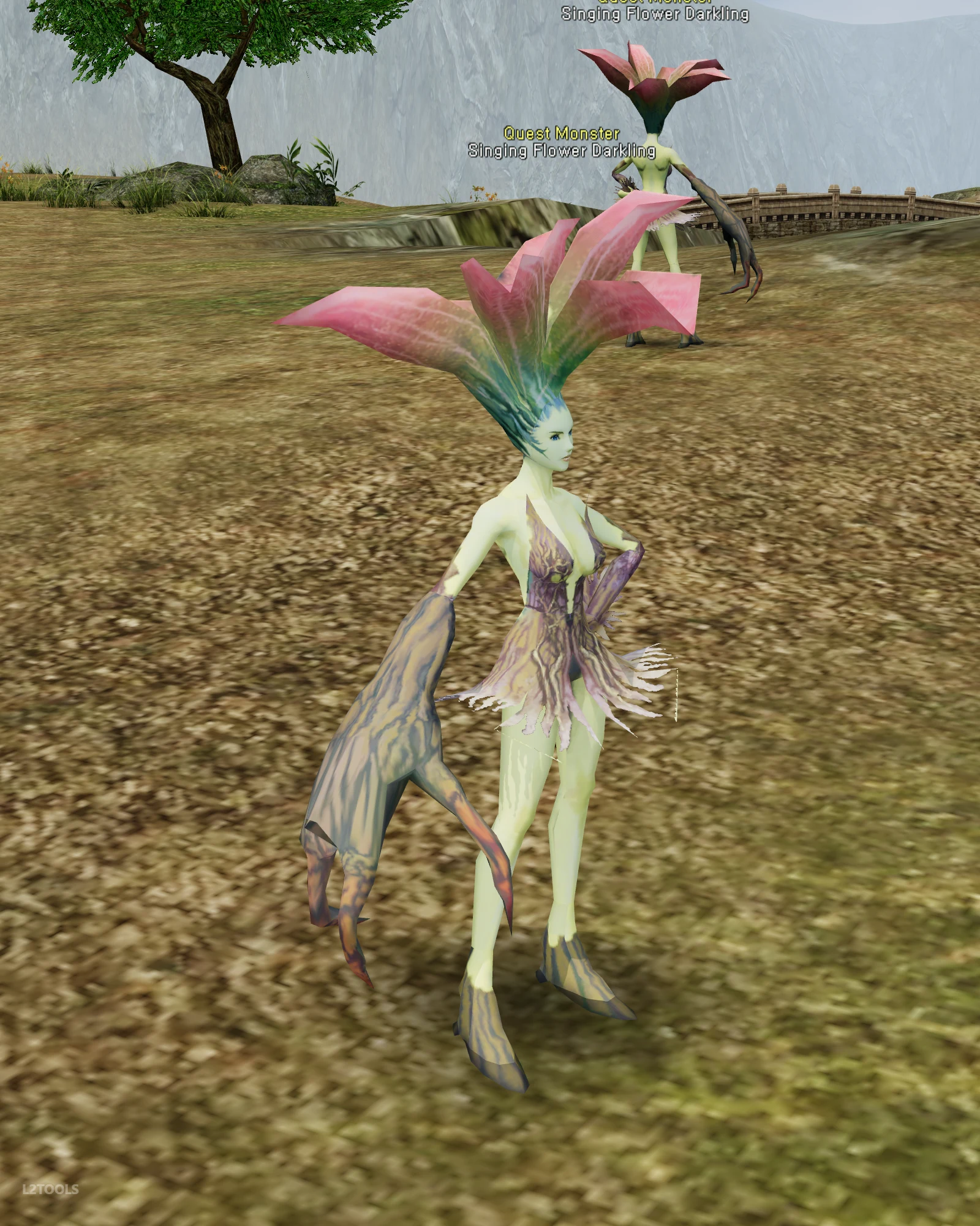 Singing Flower Darkling portrait
